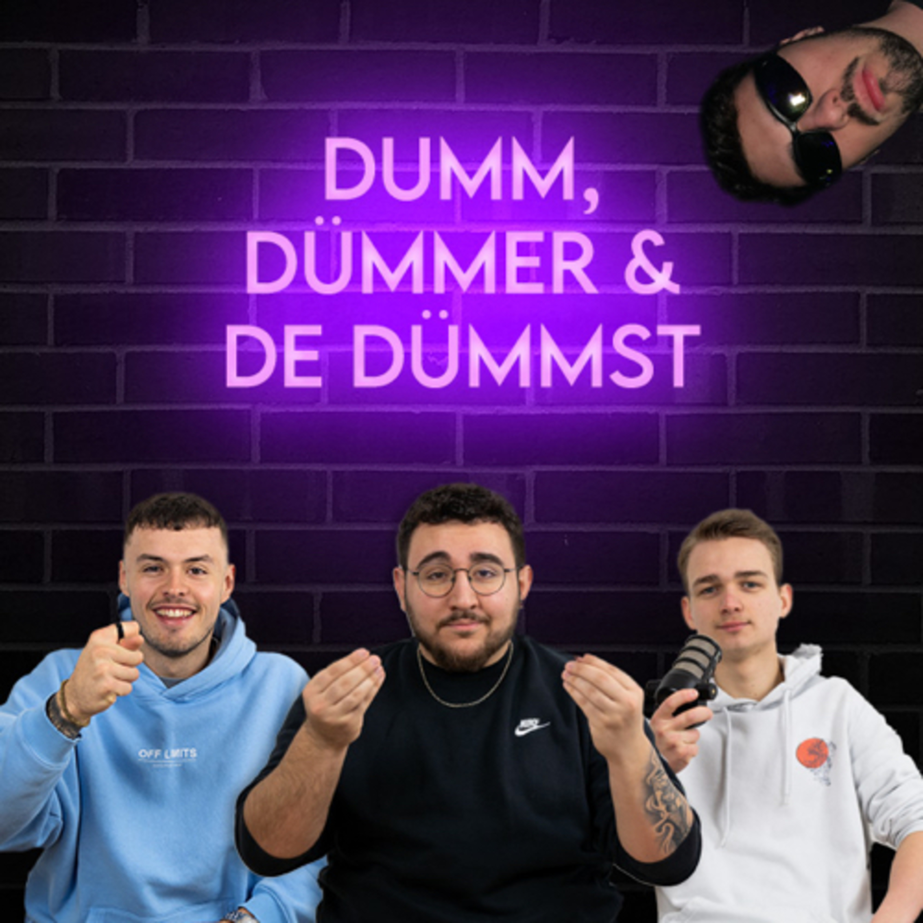dumm dümmer & de dümmst