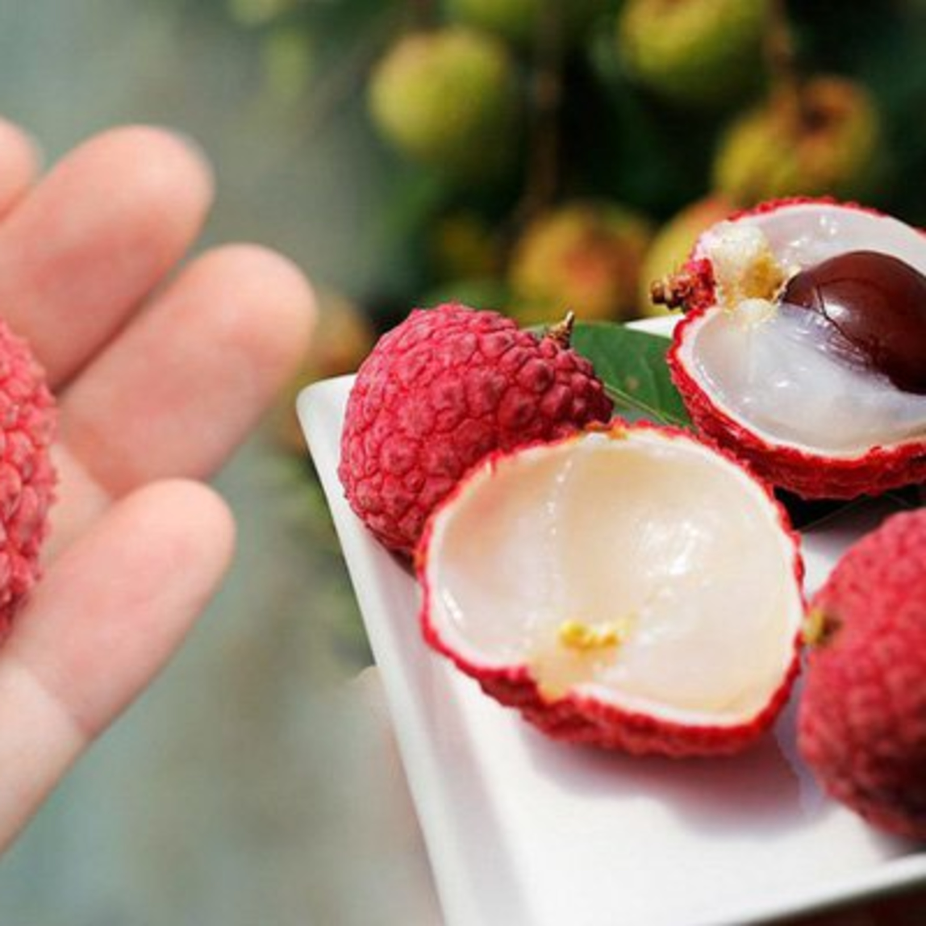 Ăn quả vải thiều có tác dụng gì?