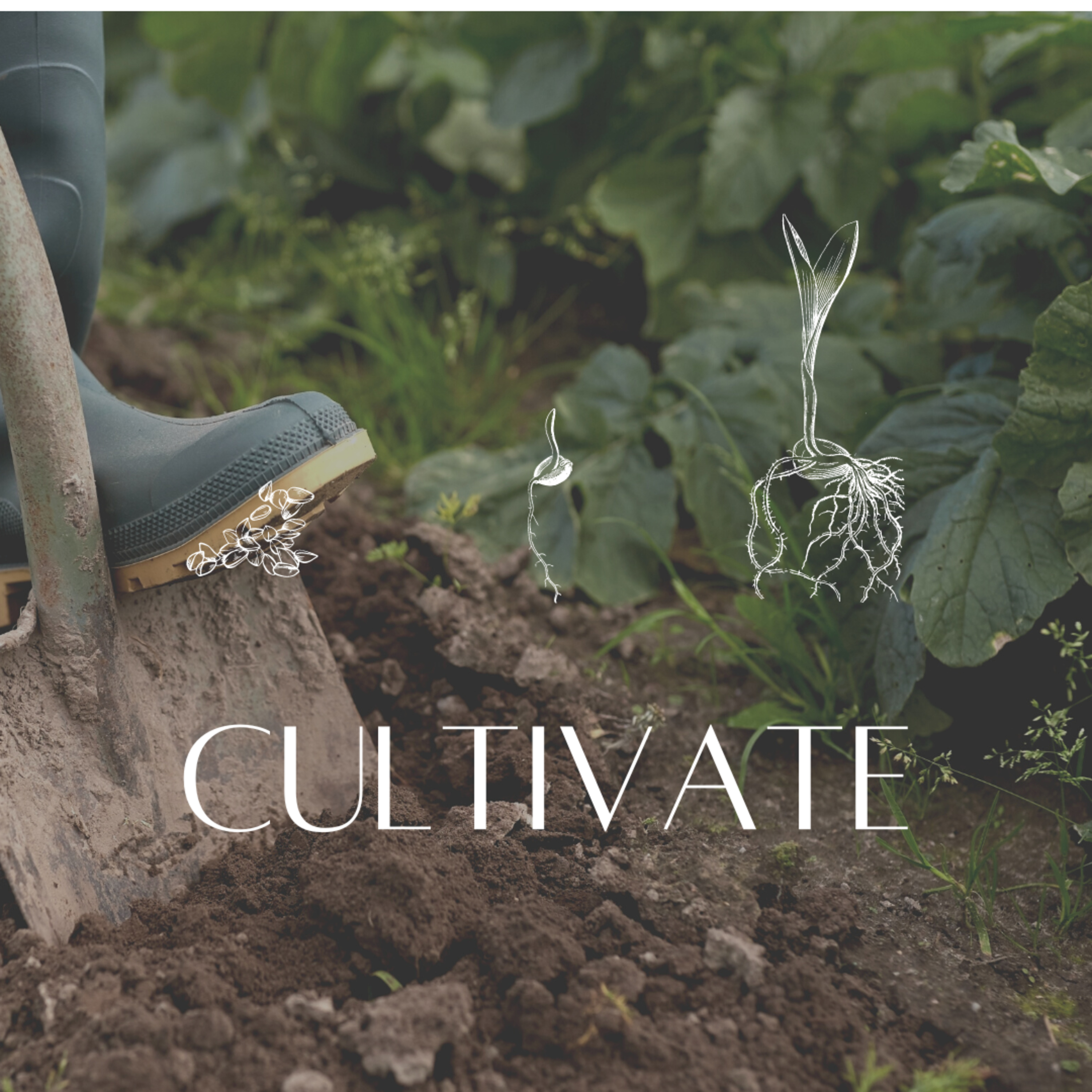 Cultivate | Like a Farmer  episode artwork