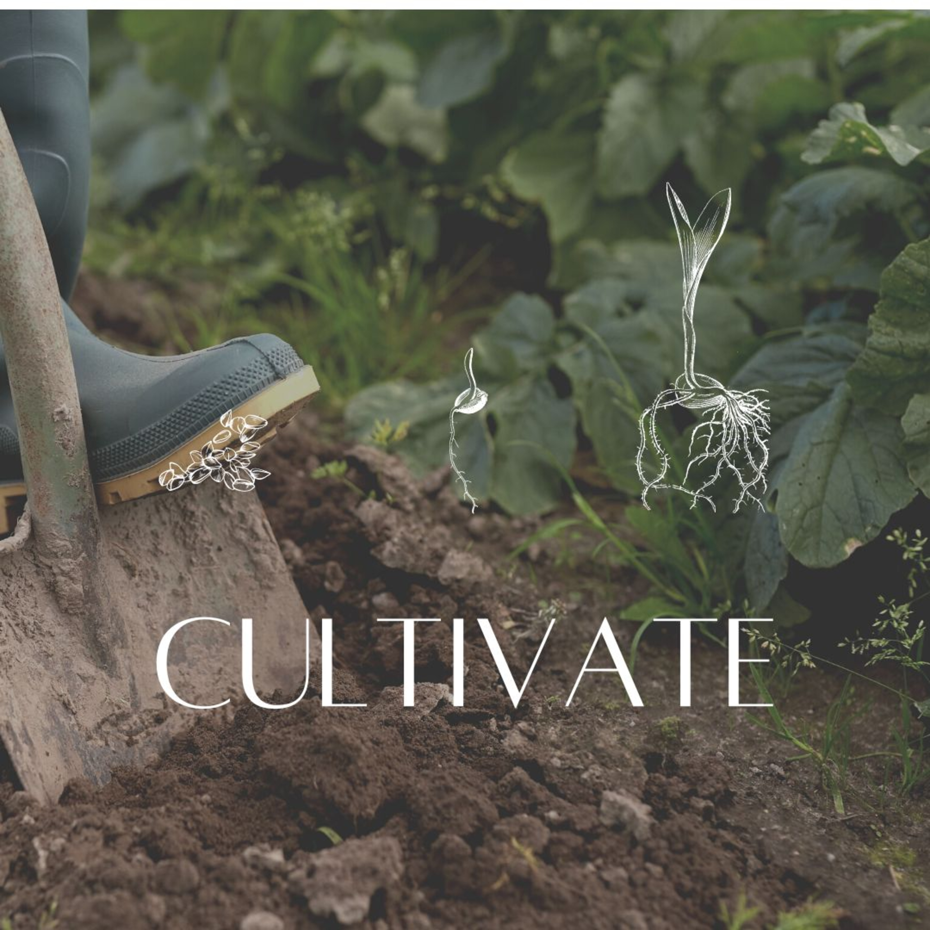 Cultivate | Living Water episode artwork