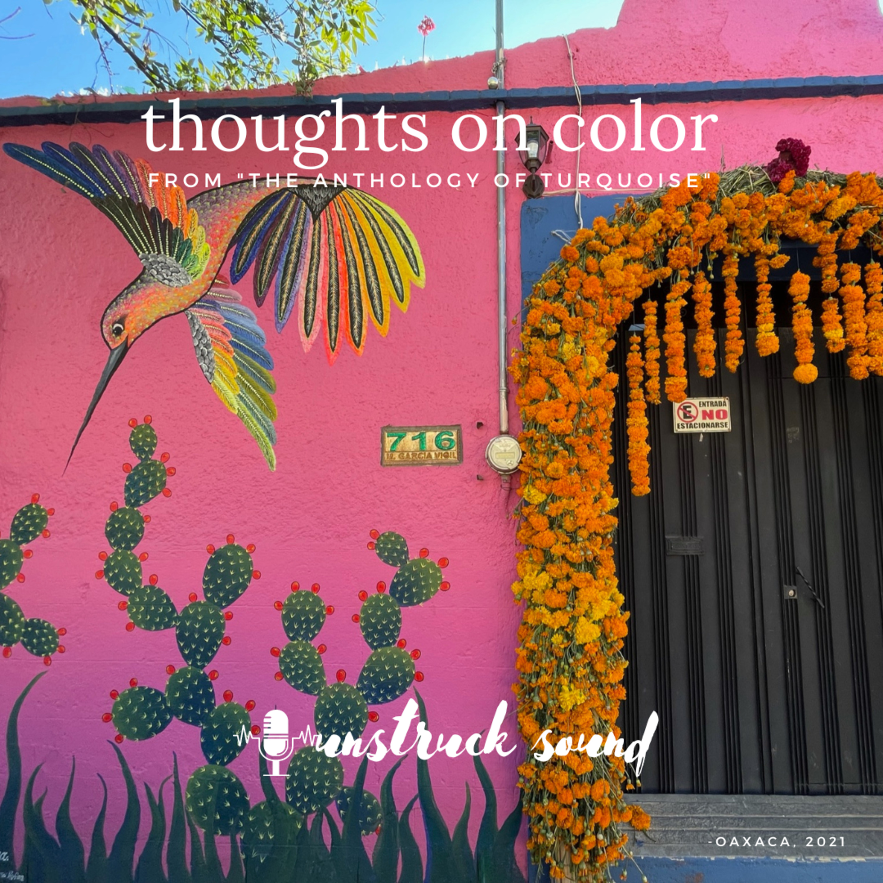 19—Meditation On Color, from The Anthropology of Turquoise