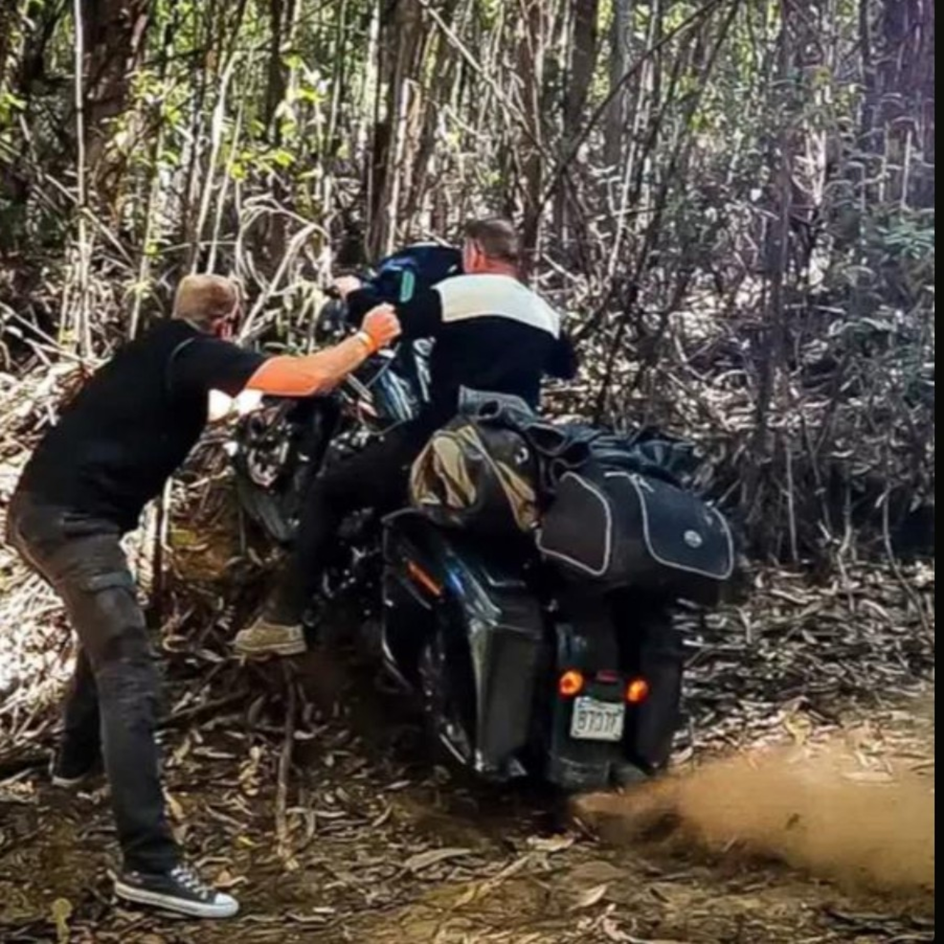 Esquadrão Ufo
