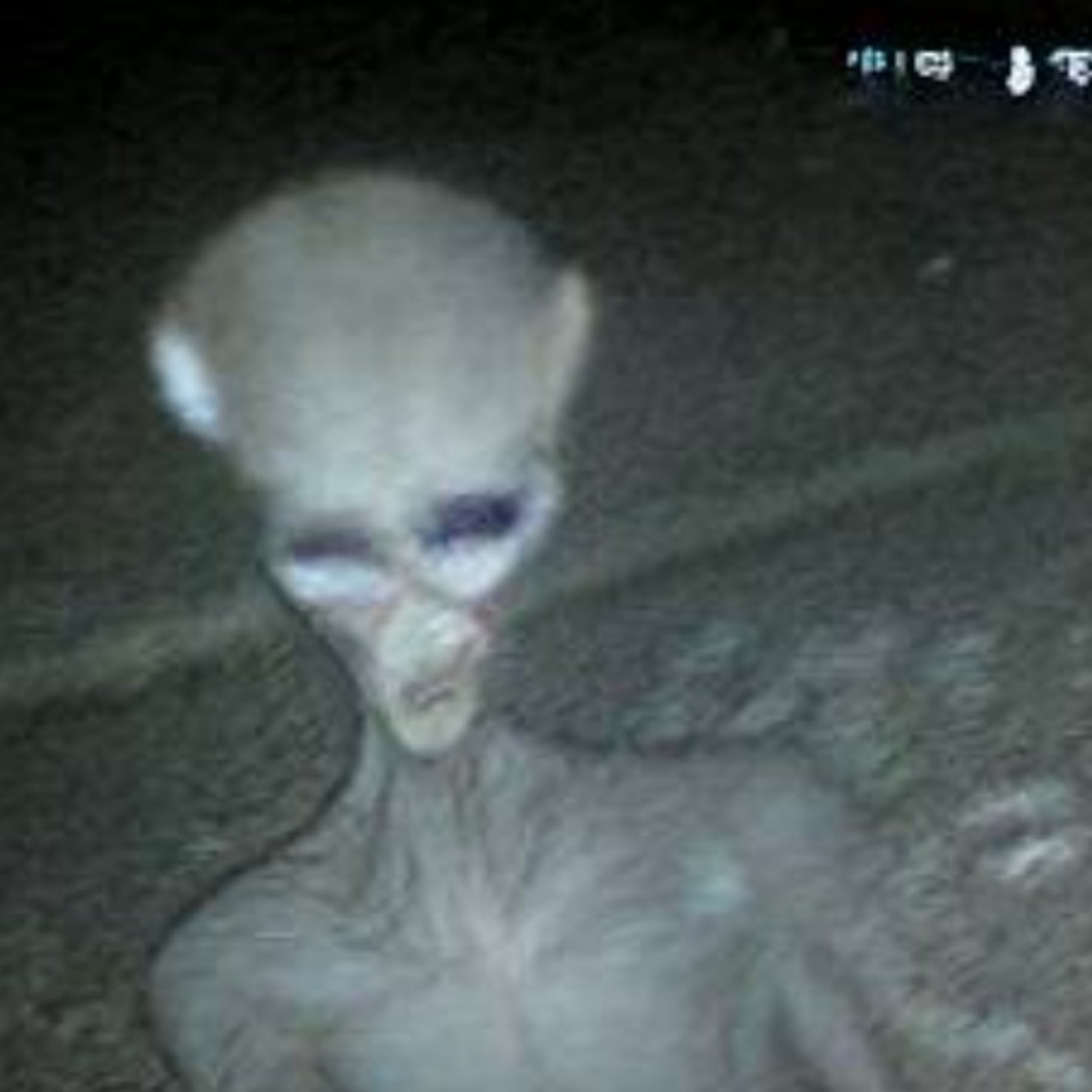 Esquadrão Ufo