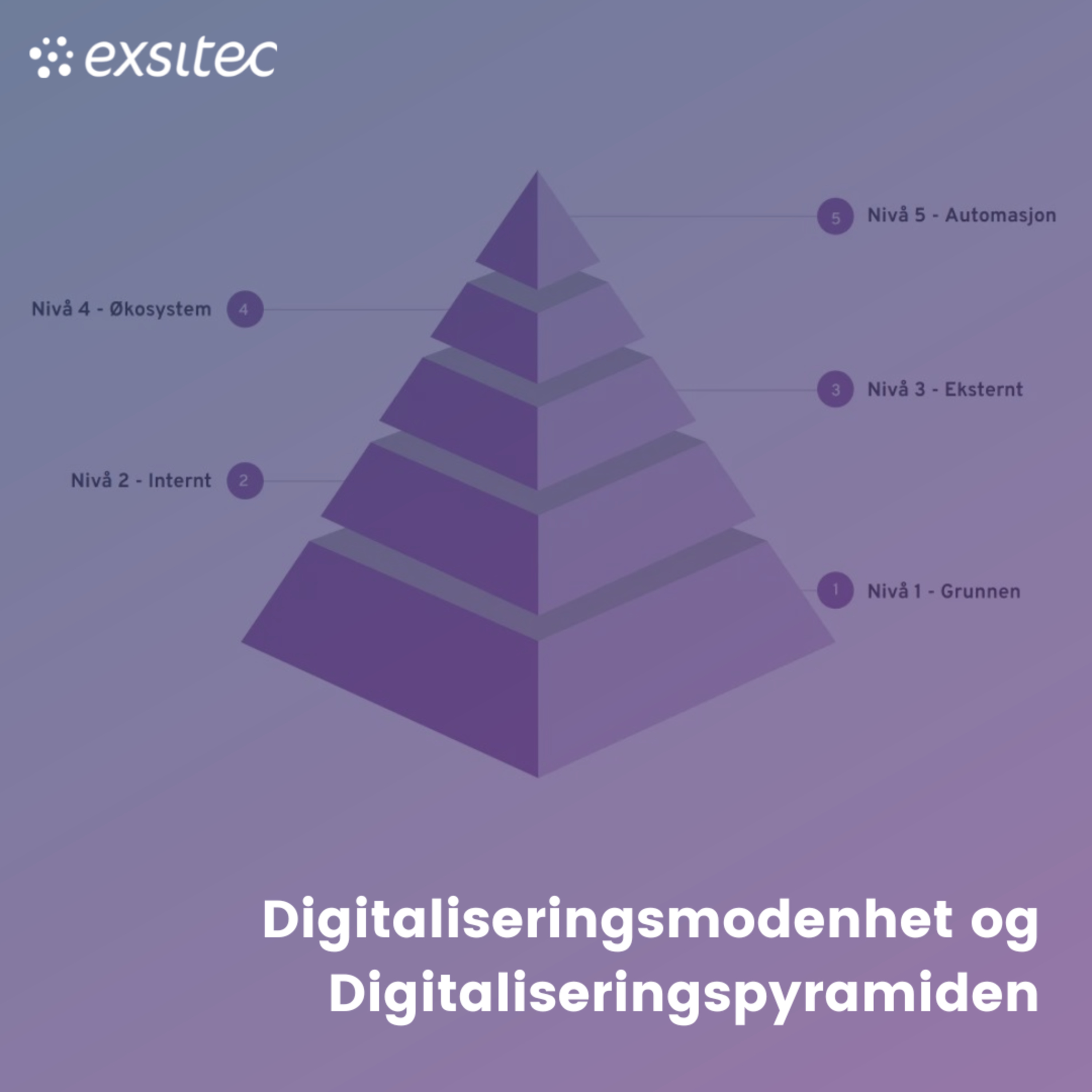 Økonombloggen - lydbok edition