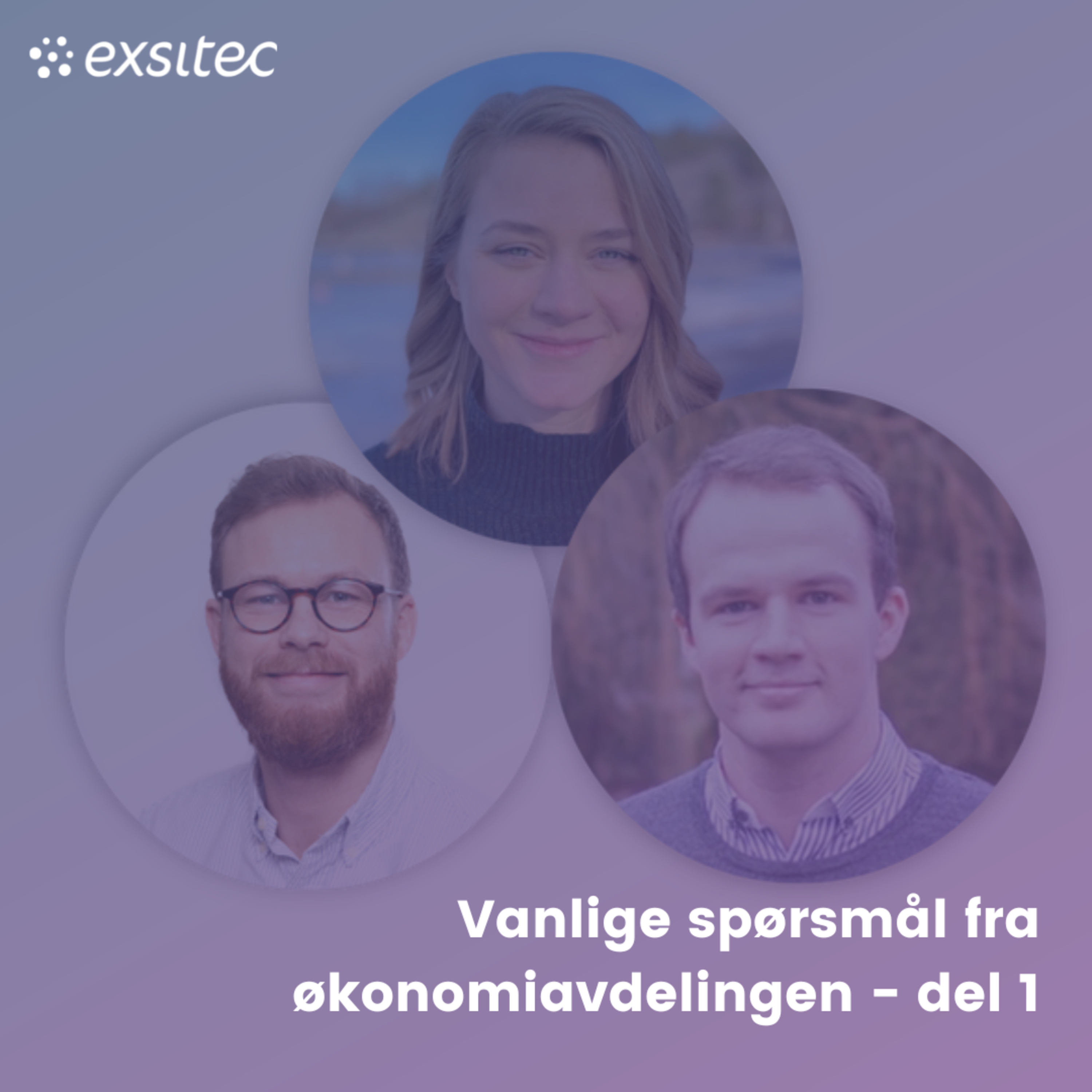 Økonombloggen - lydbok edition