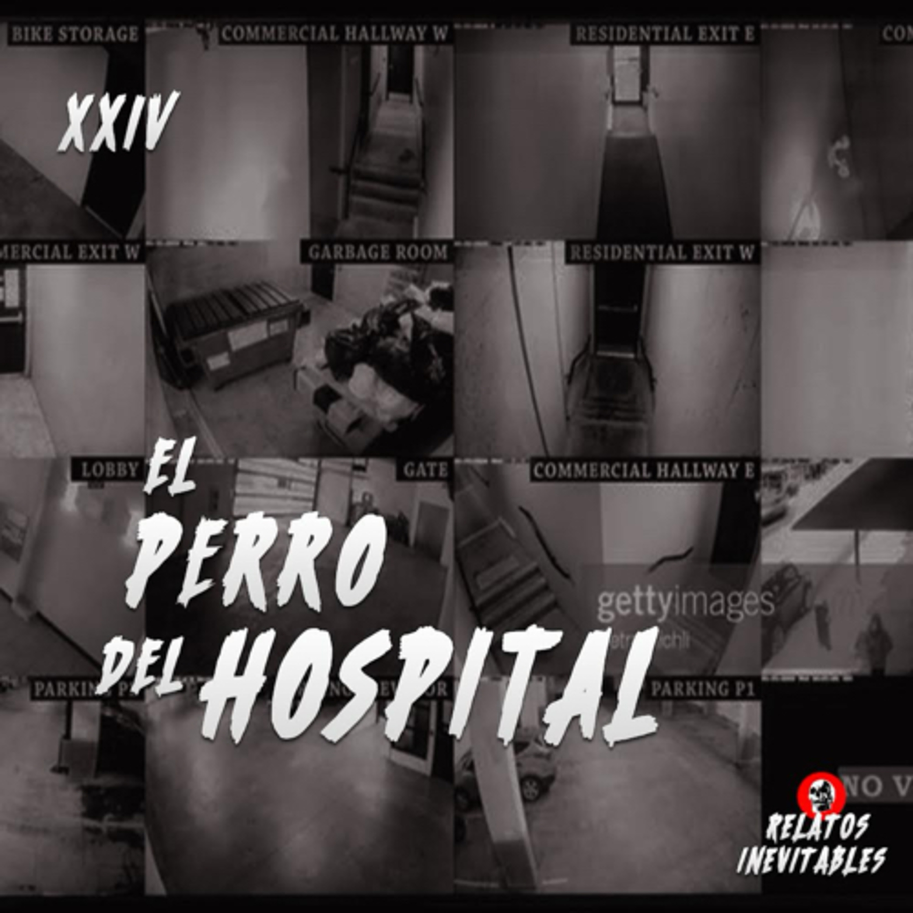 cover of episode El perro del hospital (y mas historias)