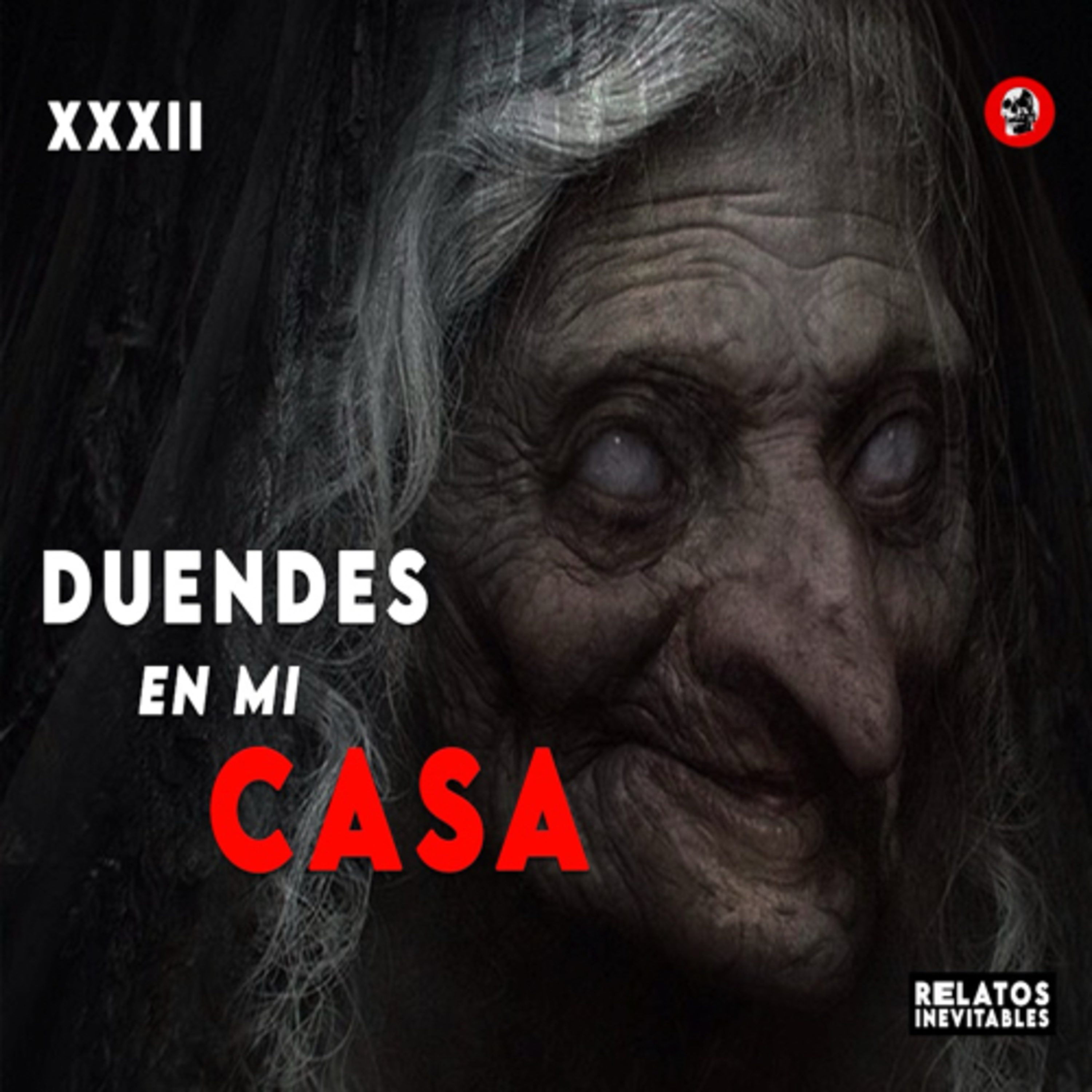 cover of episode Duendes en mi Casa