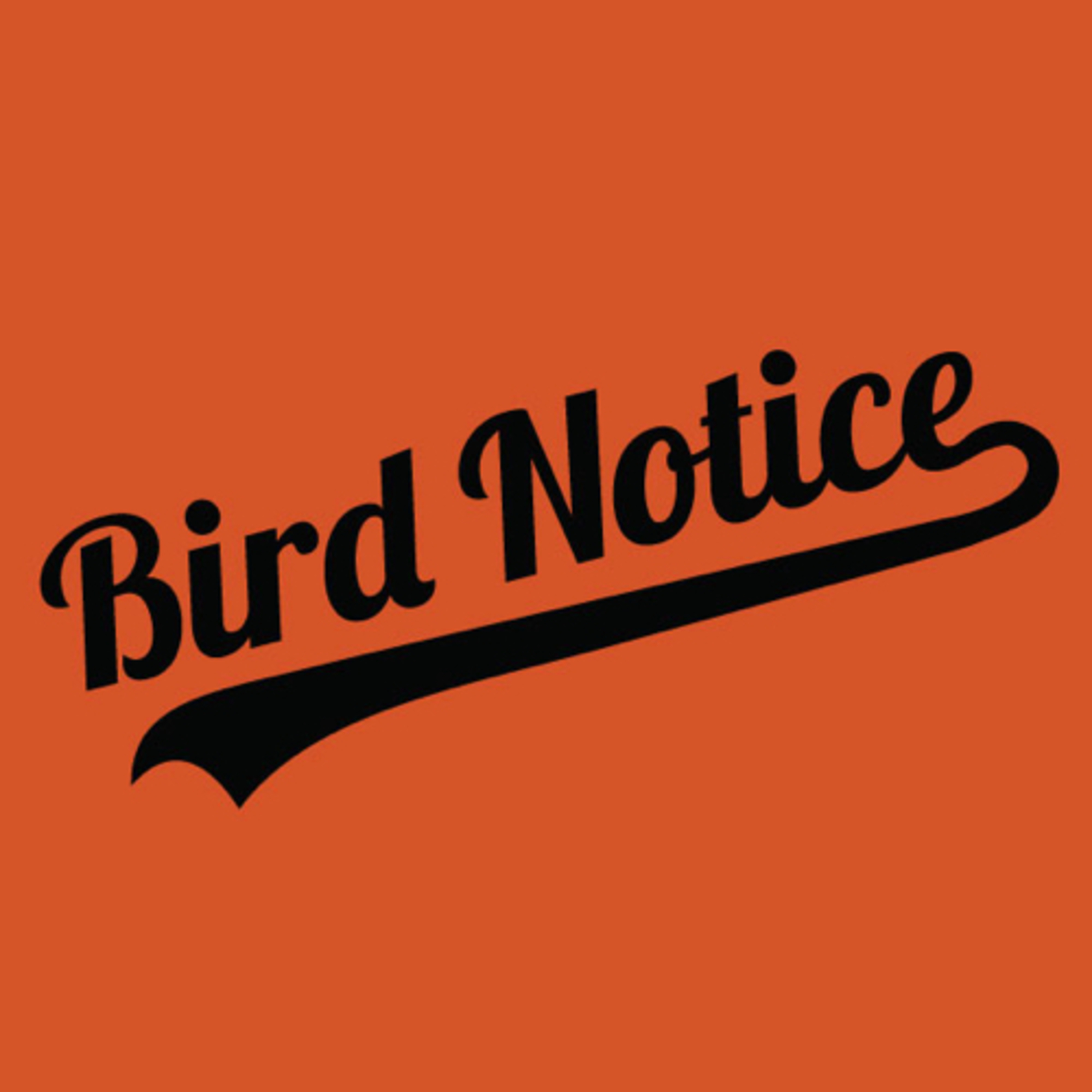 Bird Notice: A Baltimore Orioles Podcast