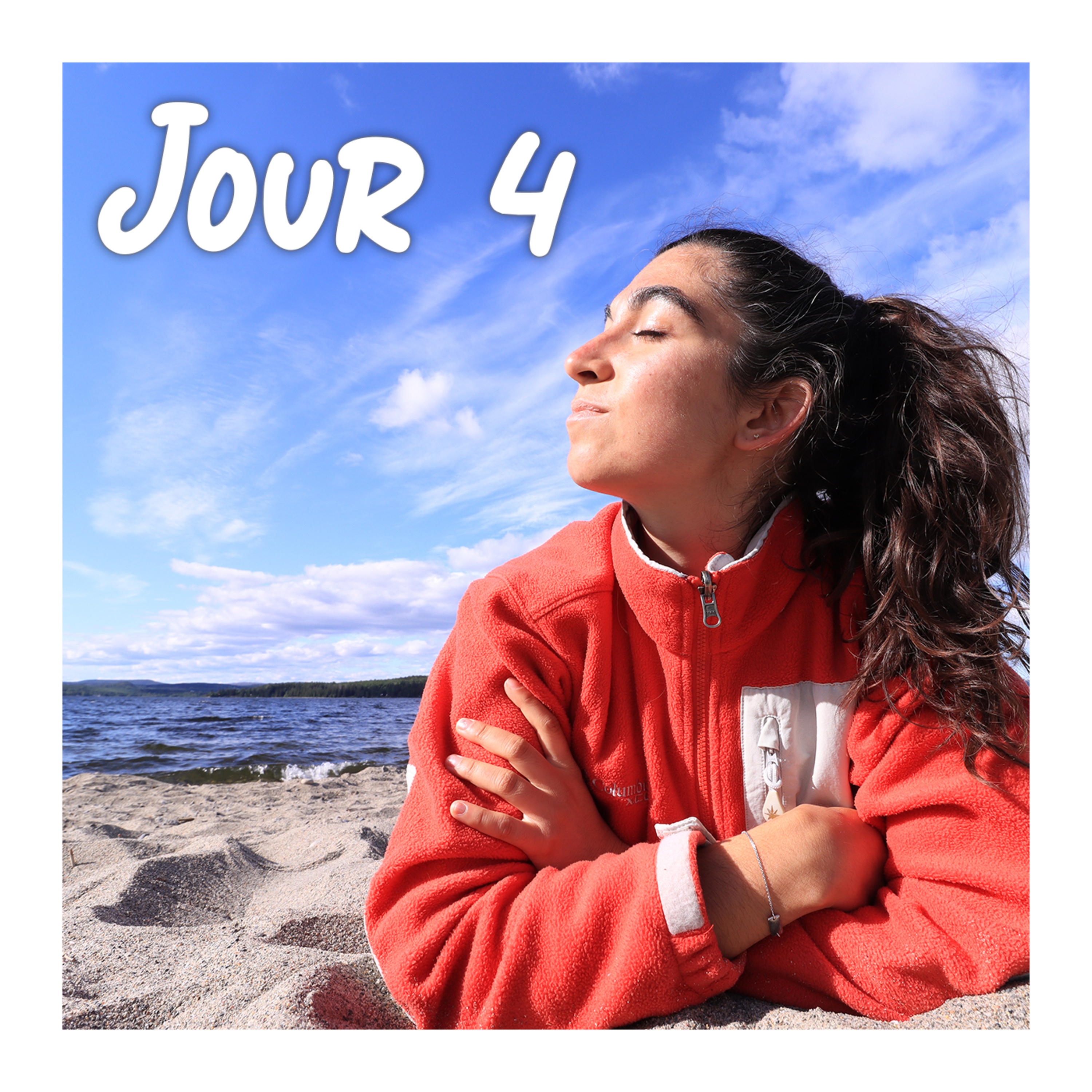 Carnet de Suède