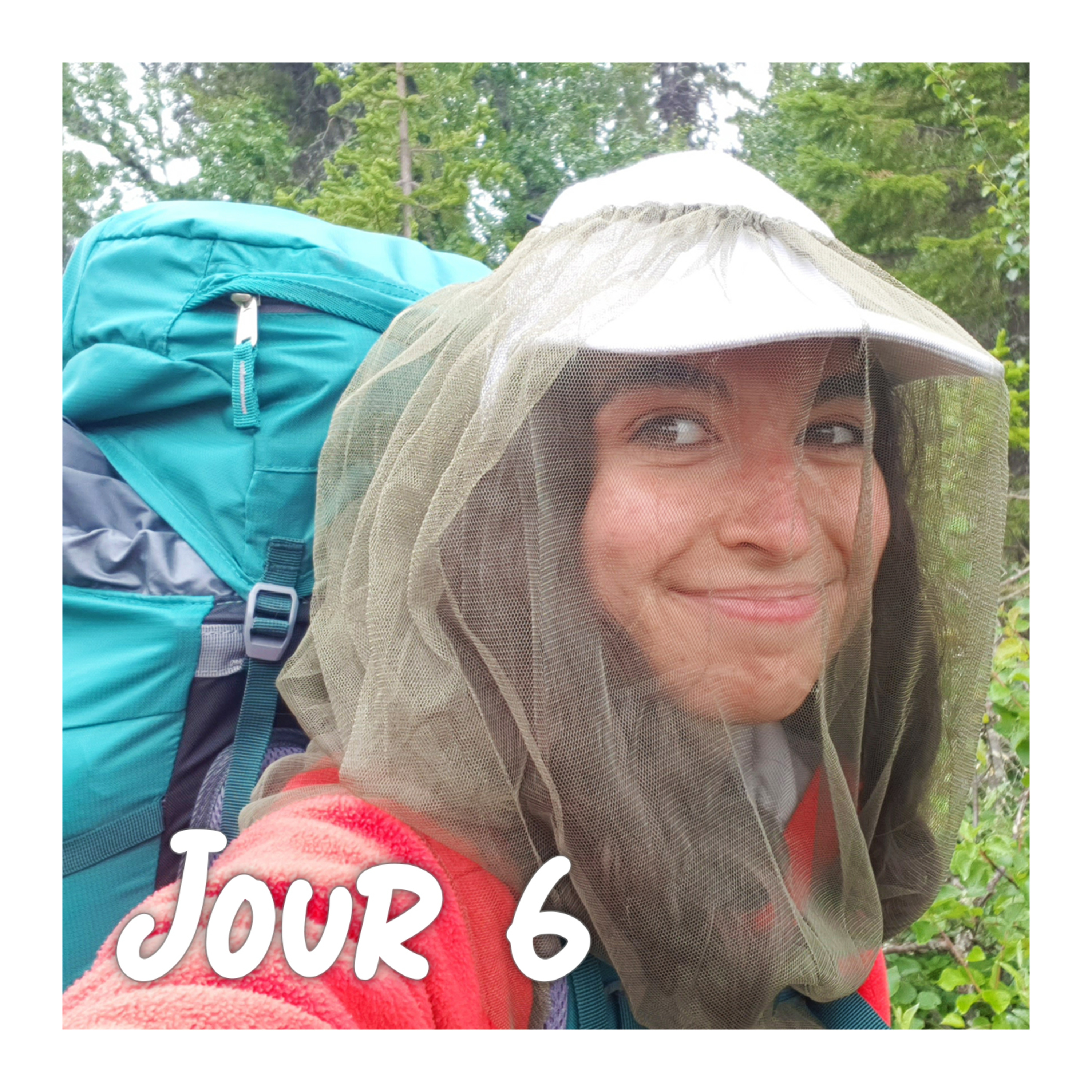 Carnet de Suède