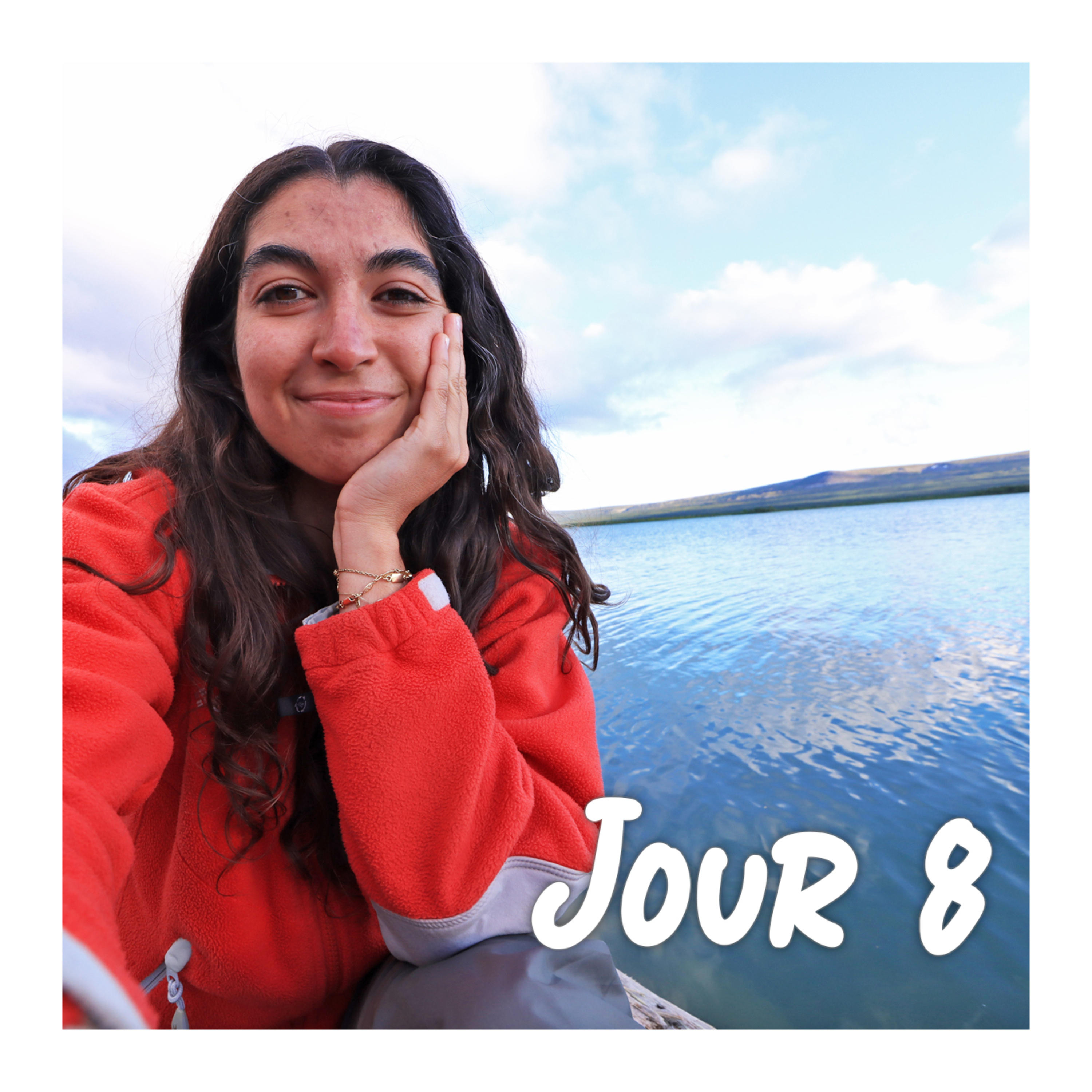 Carnet de Suède