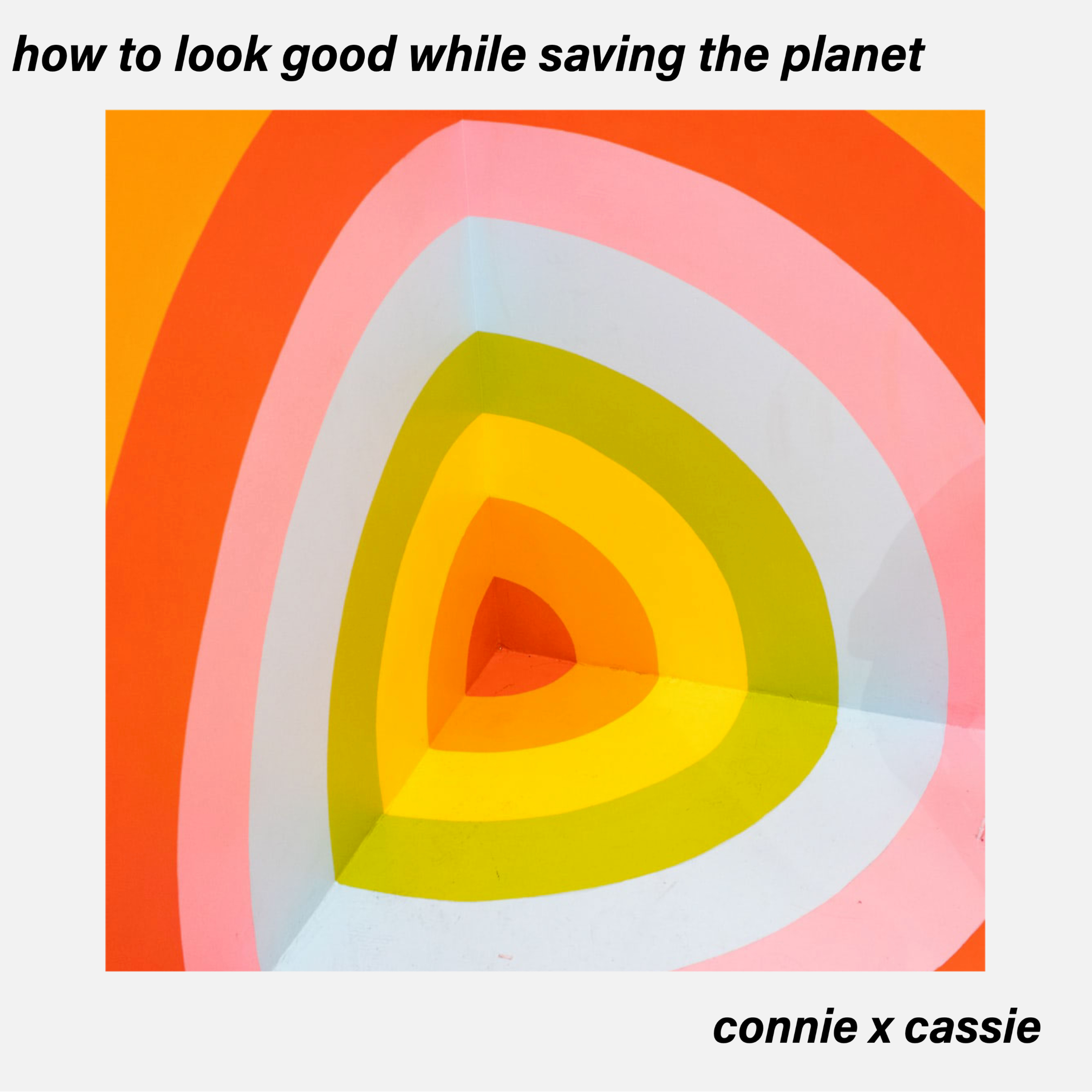 How to Look Good While Saving the Planet episode artwork