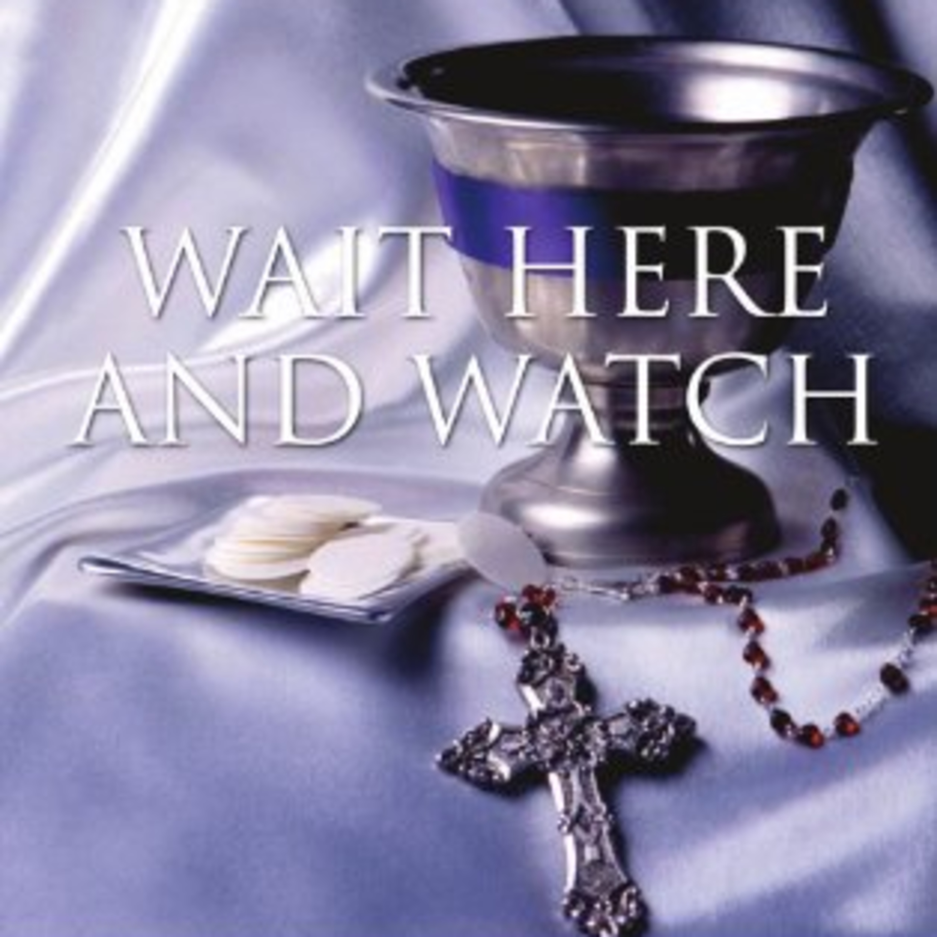 Wait Here and Watch Pt.6 episode artwork