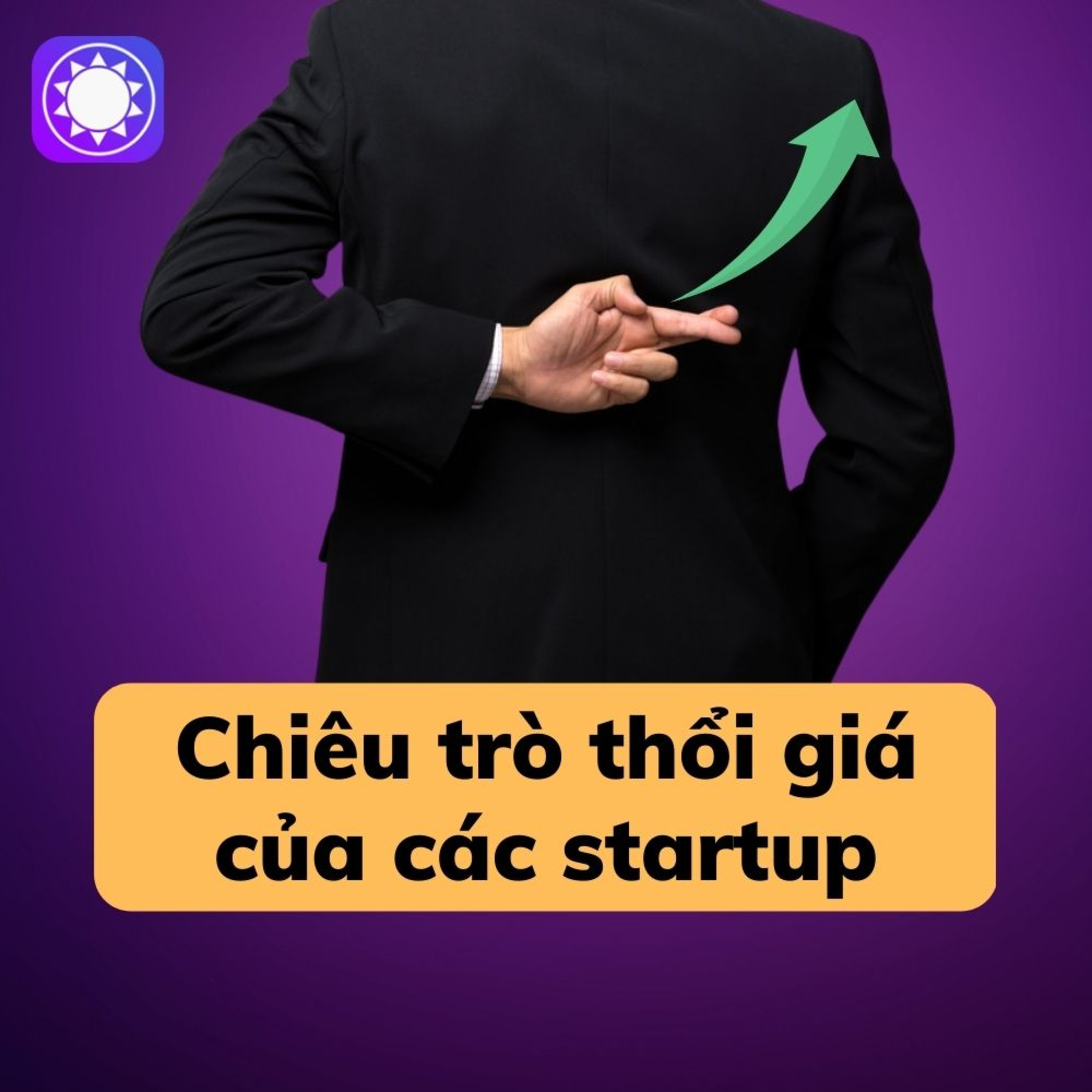 Vạch trần chiêu trò thổi giá của các startup lừa đảo episode artwork