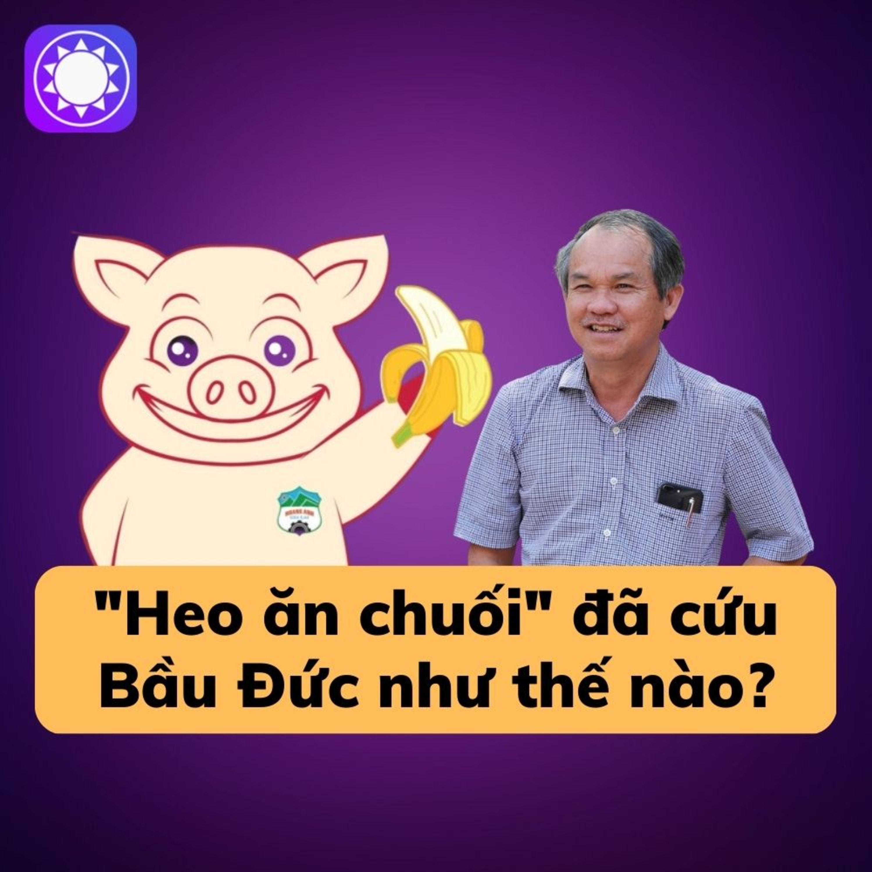 “Heo ăn chuối” đã cứu bầu Đức như thế nào? episode artwork