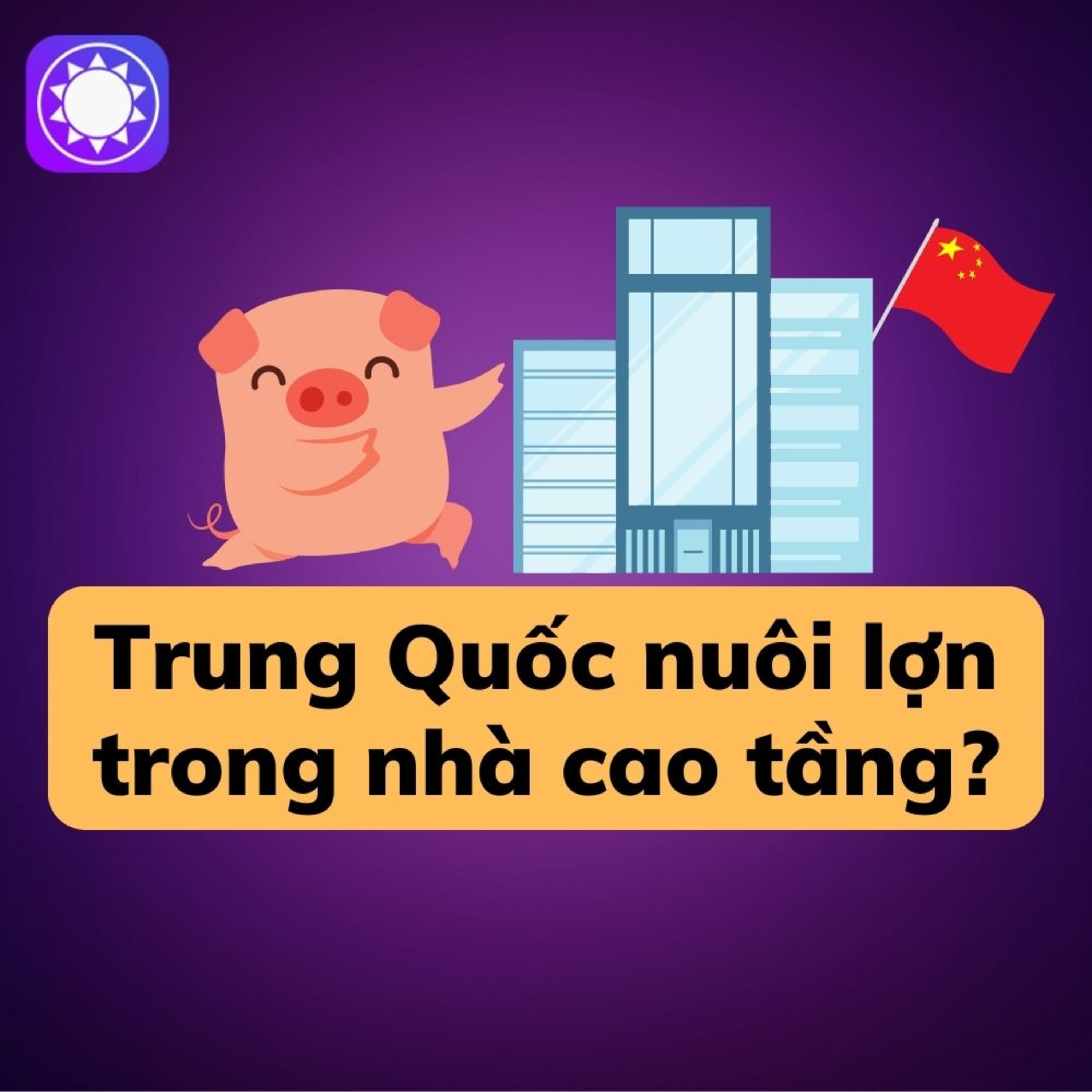 Choáng với các “chung cư lợn” của Trung Quốc episode artwork