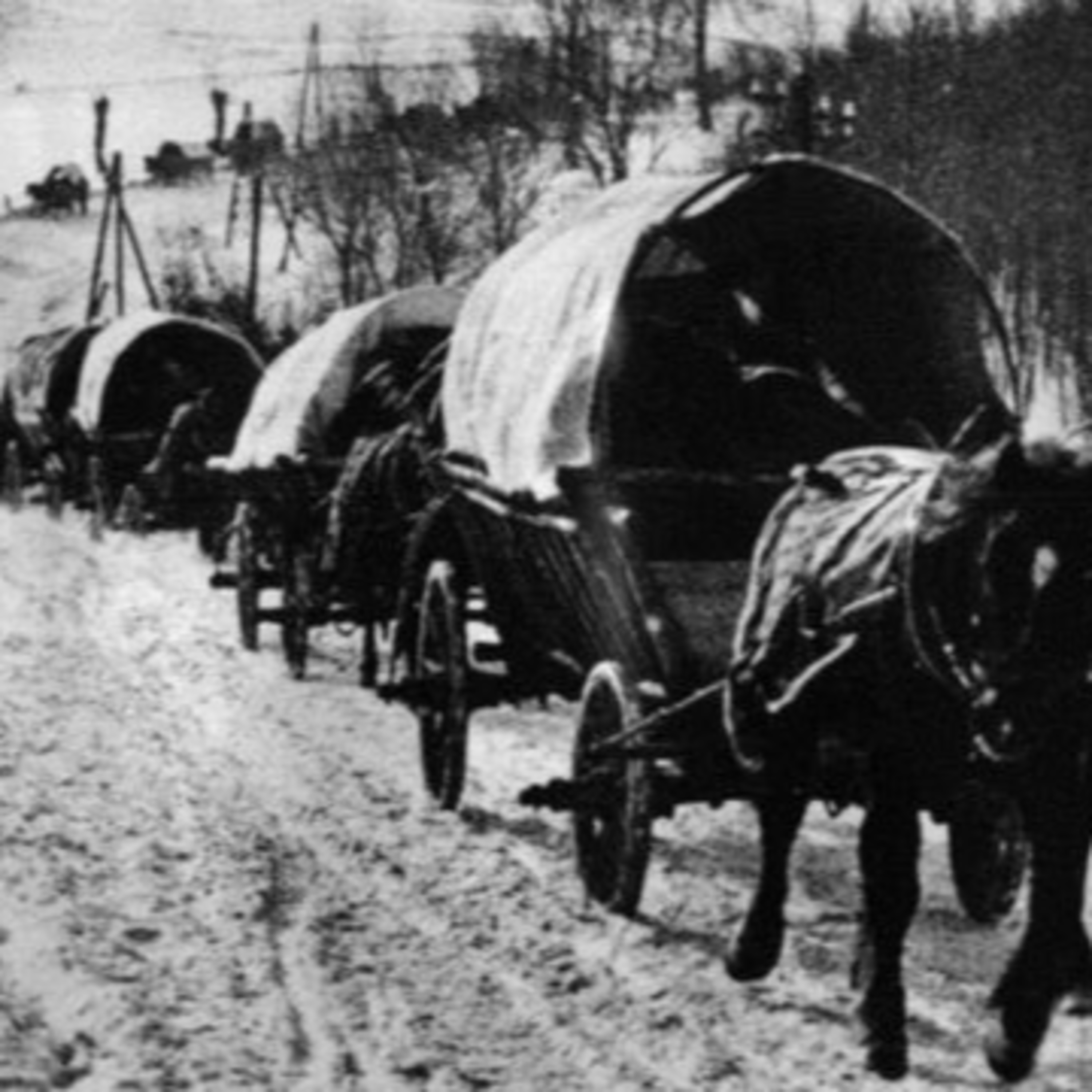 Німецькі колоністи у Полтаві (Подкаст 9)