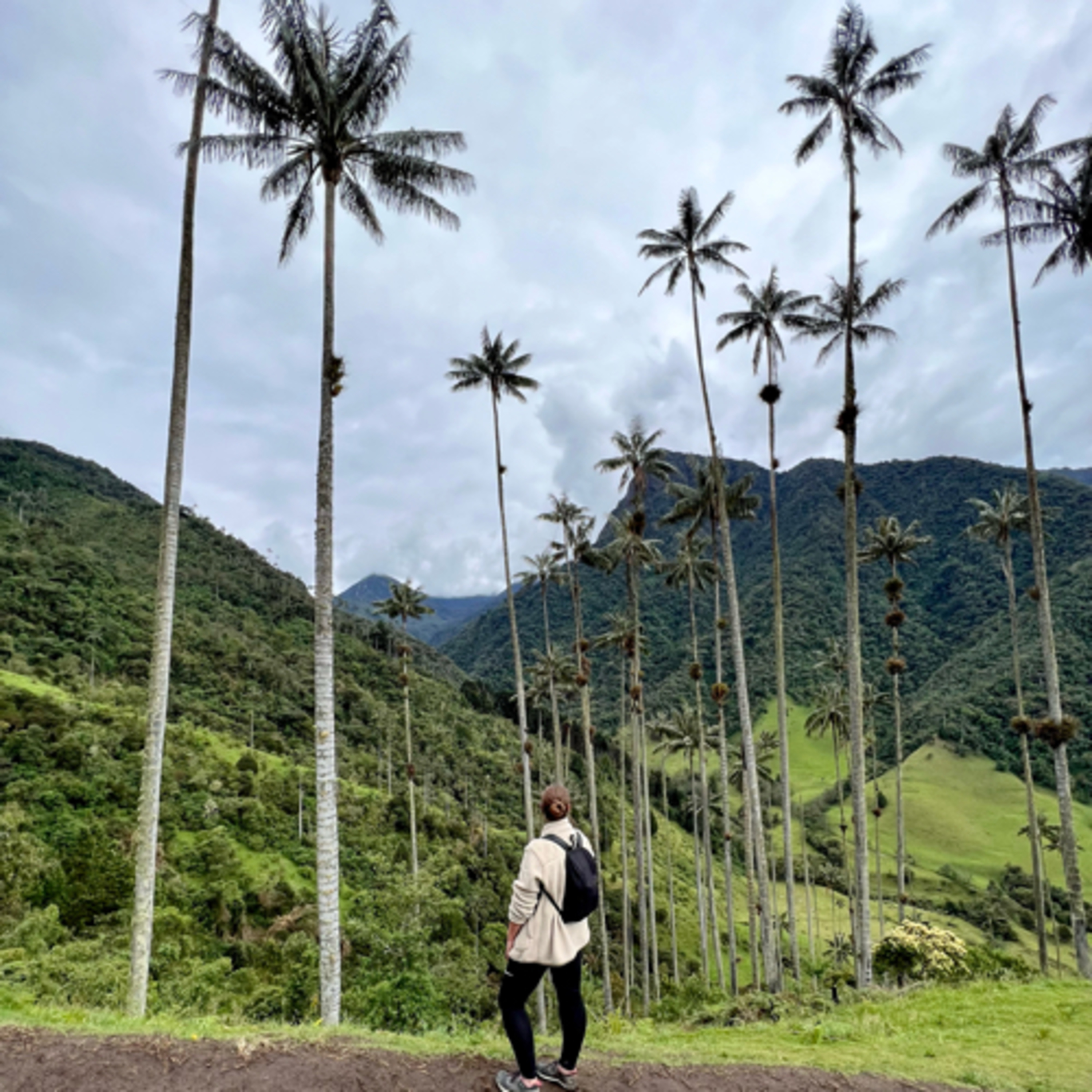 La Thilda en Colombie 🇨🇴