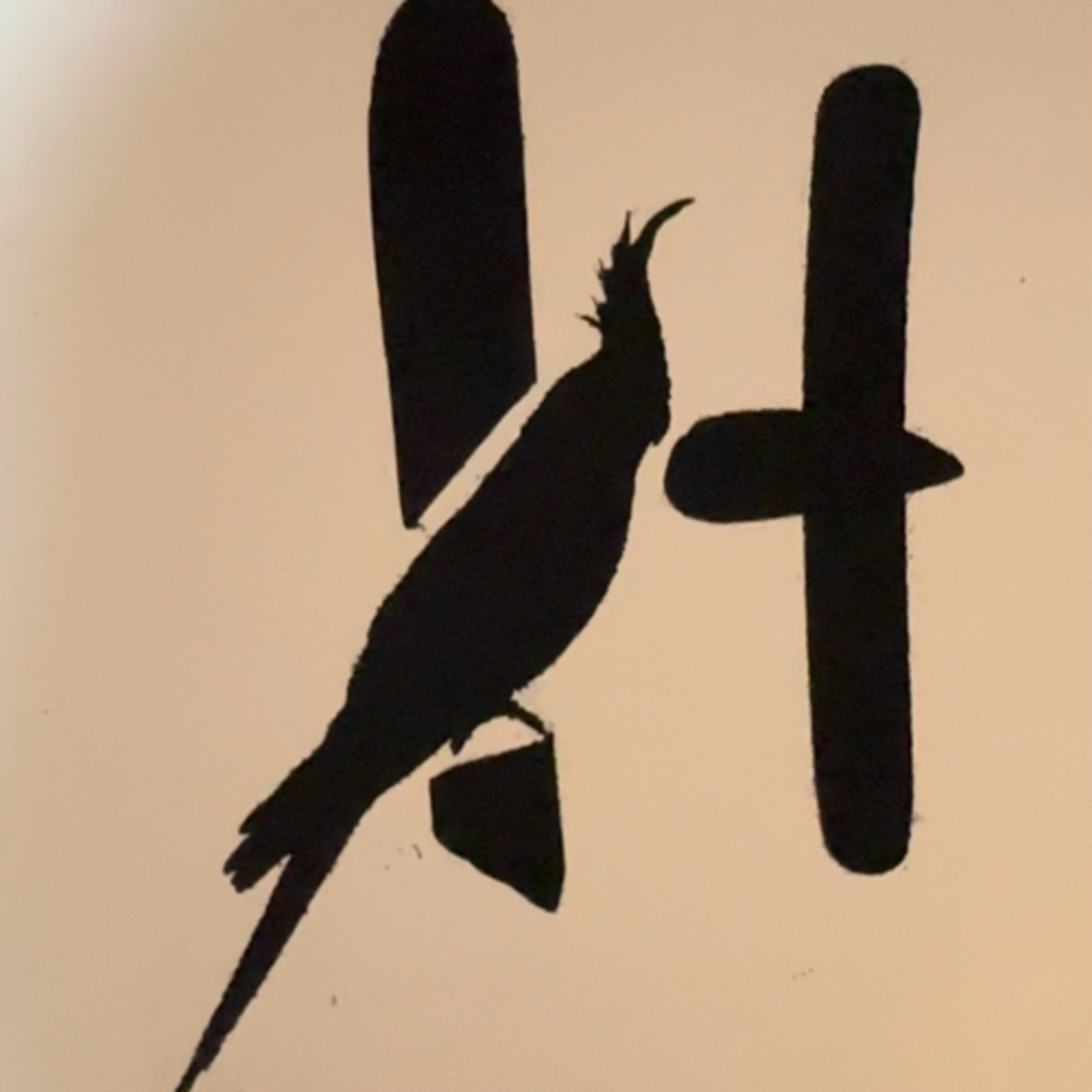 Urban Cockatiels Podcast
