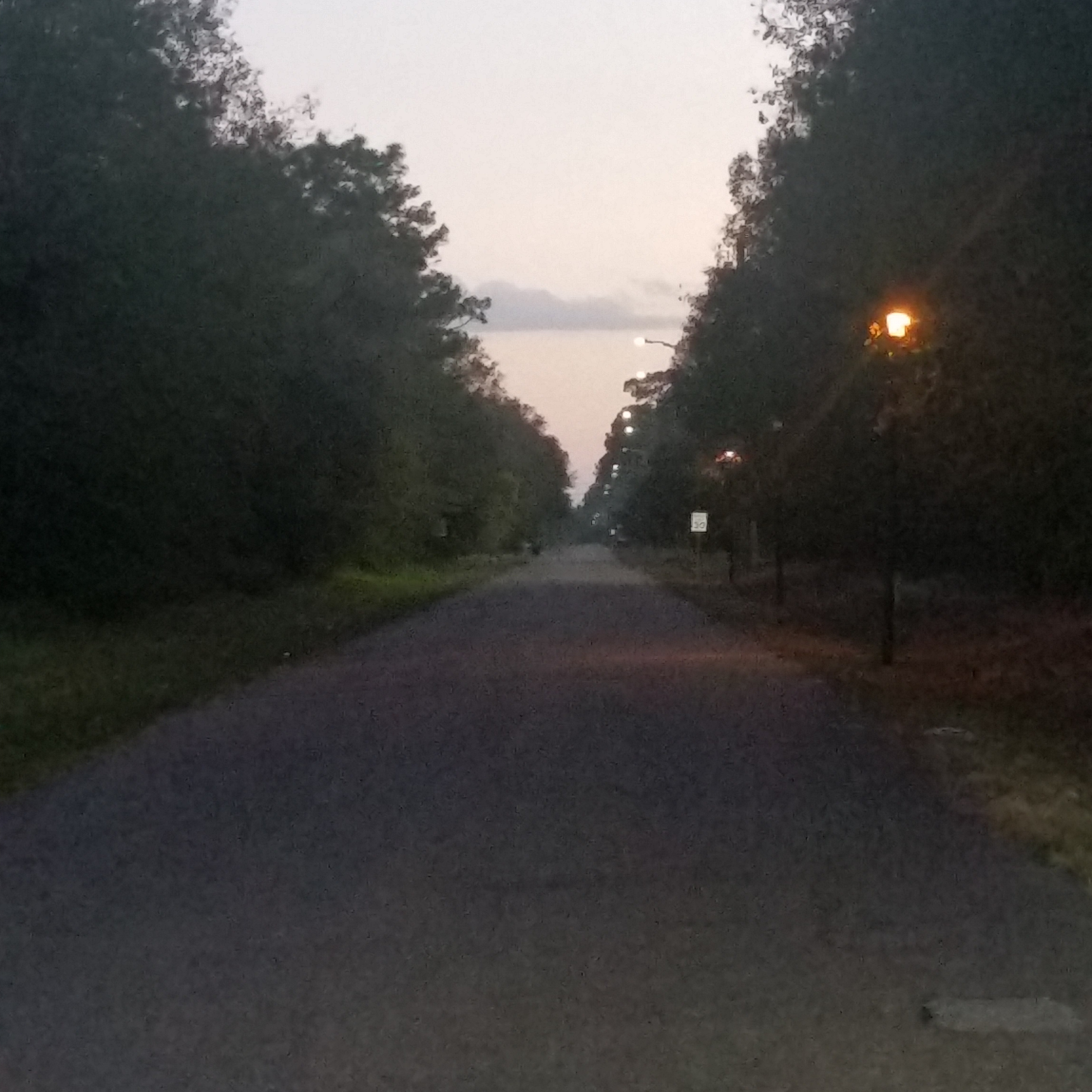 The Servant’s Council