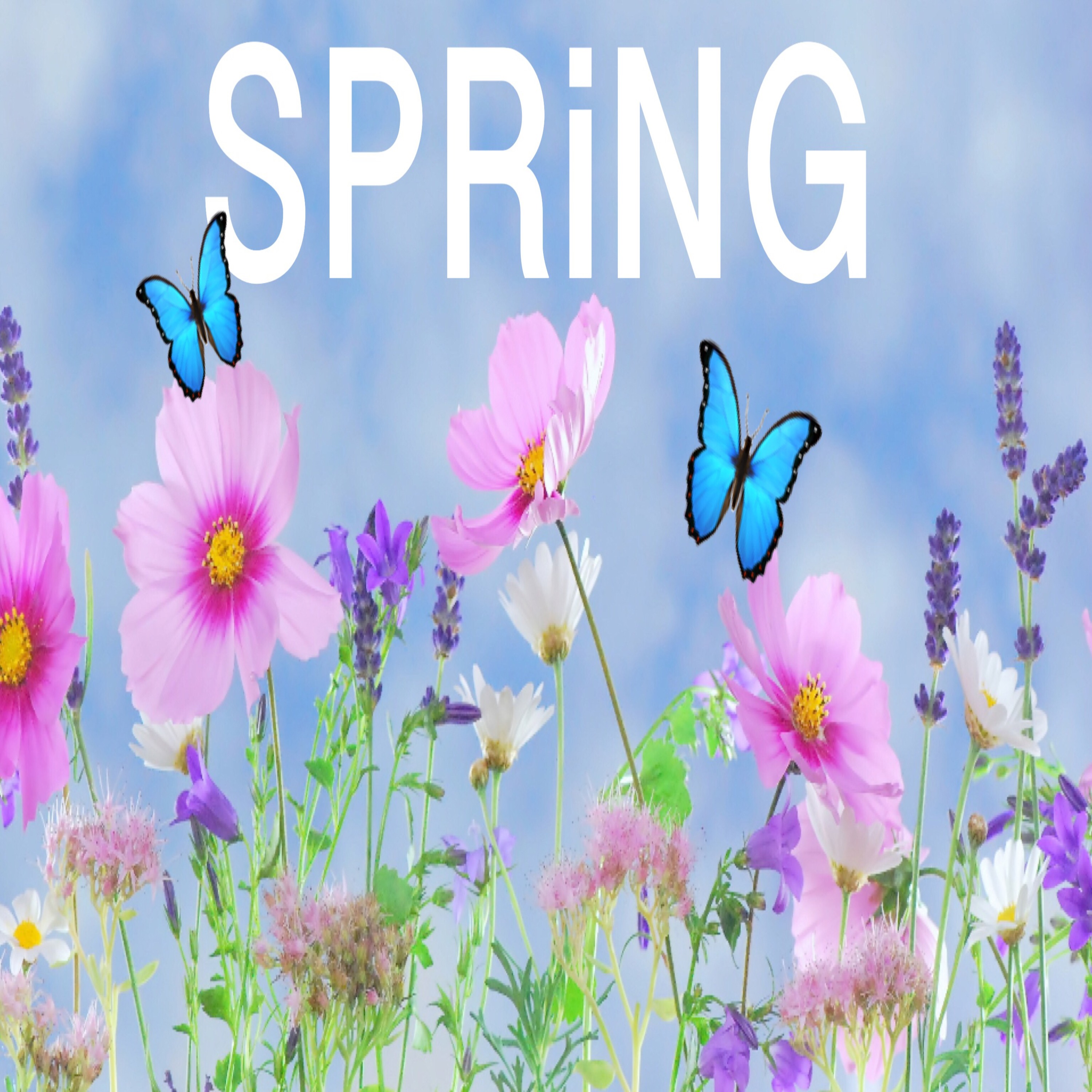 HOW TO GET READY FOR SPRING! episode artwork