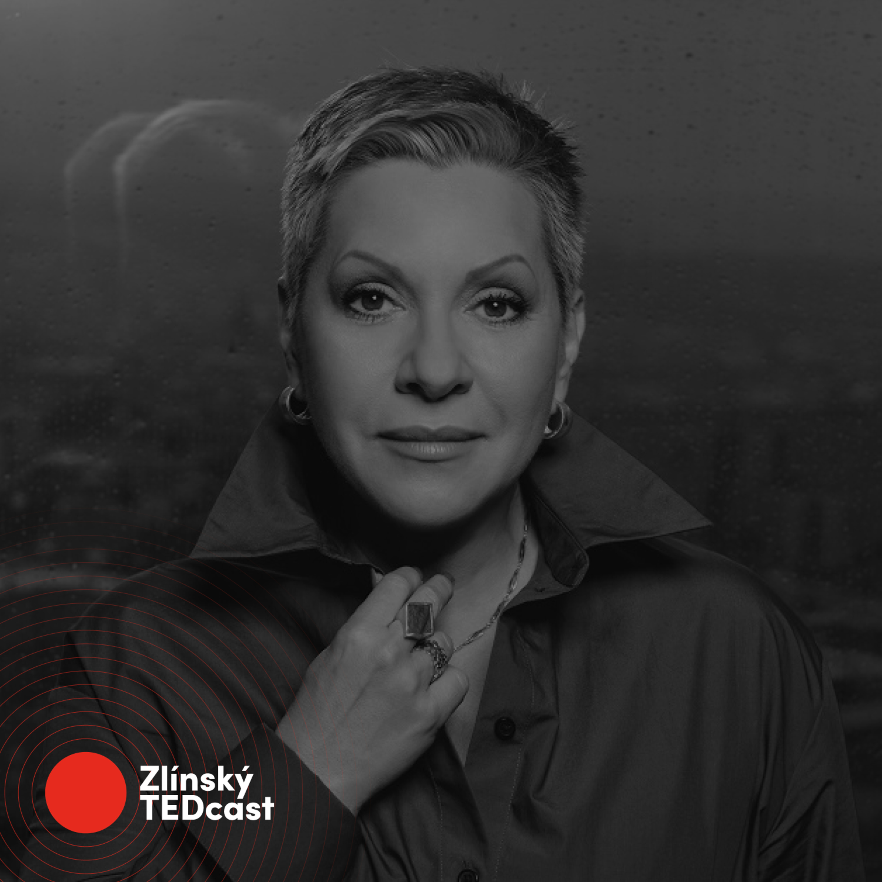 TEDxZlín