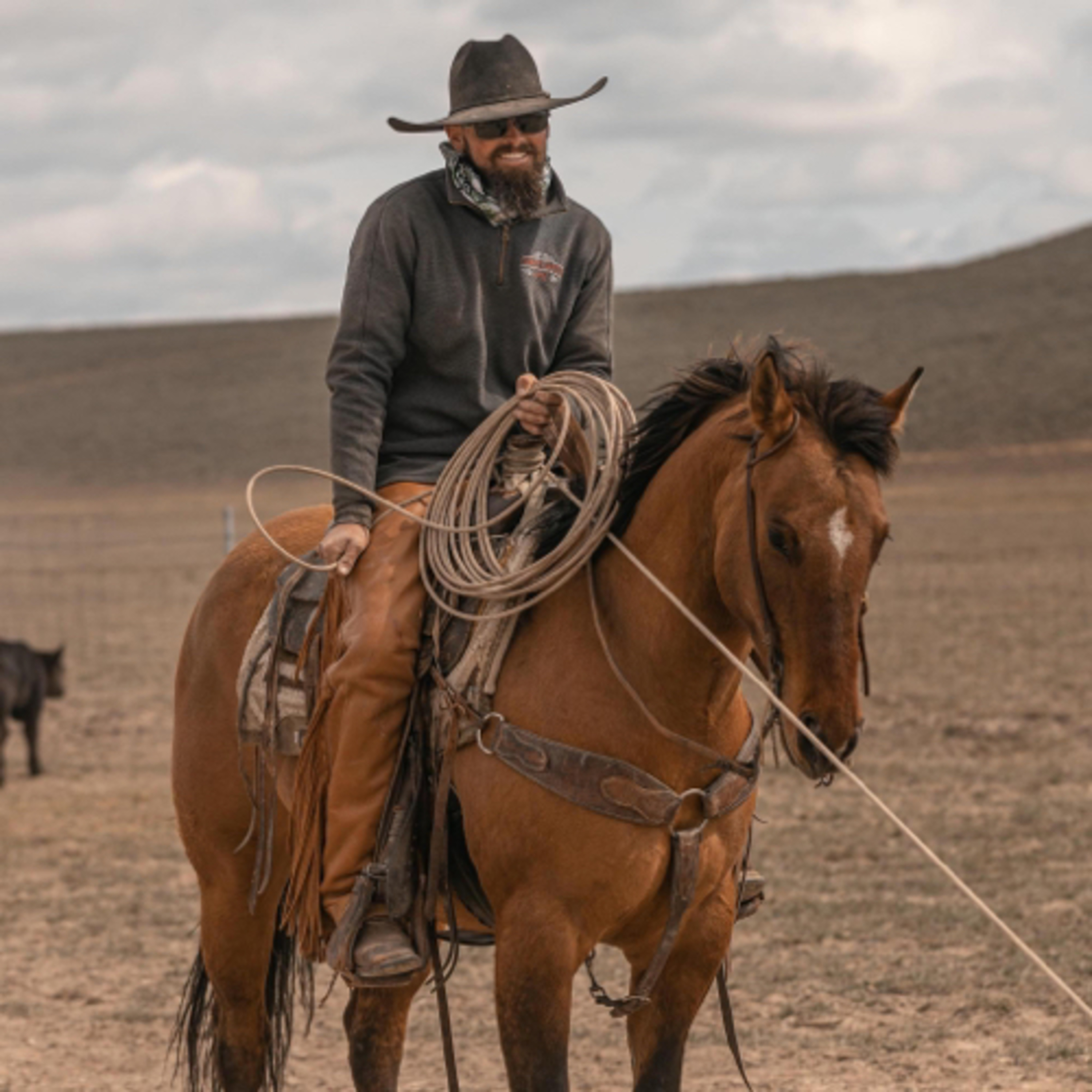 Your horse training questions with Benjy Smith 