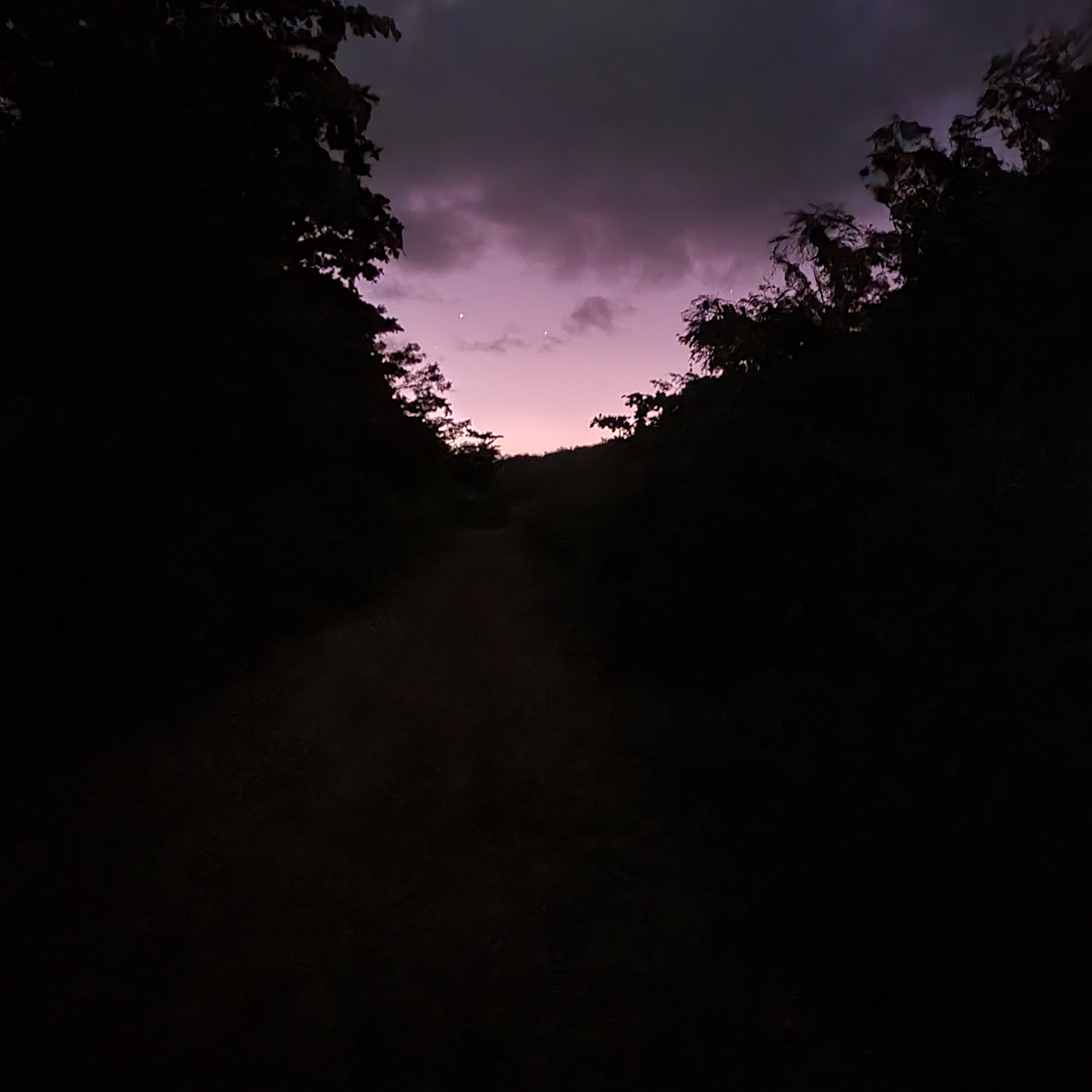 Walking into the Dark episode artwork