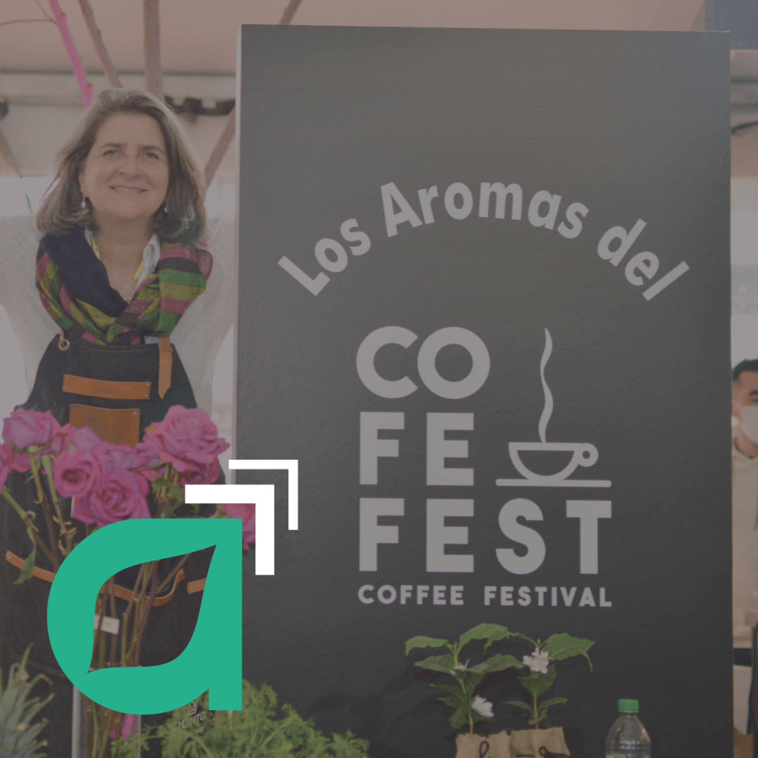 Filtrando Ideas, café y marketing empresarial.