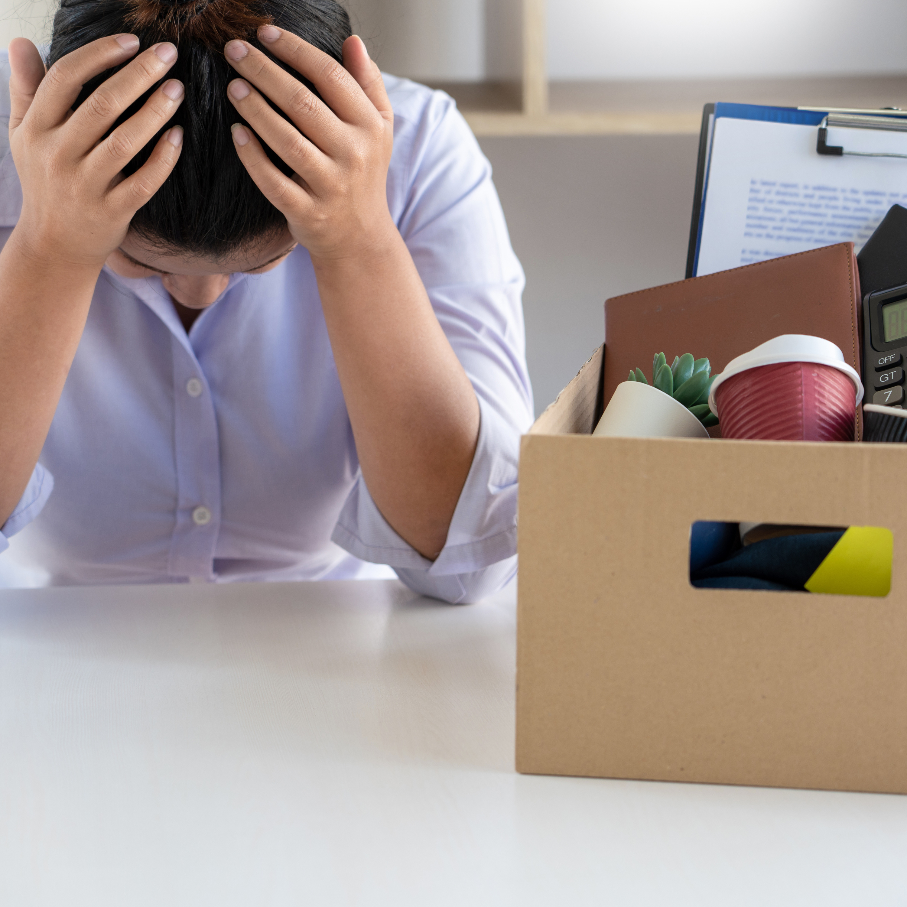 MASTER EN TRANSICIONES