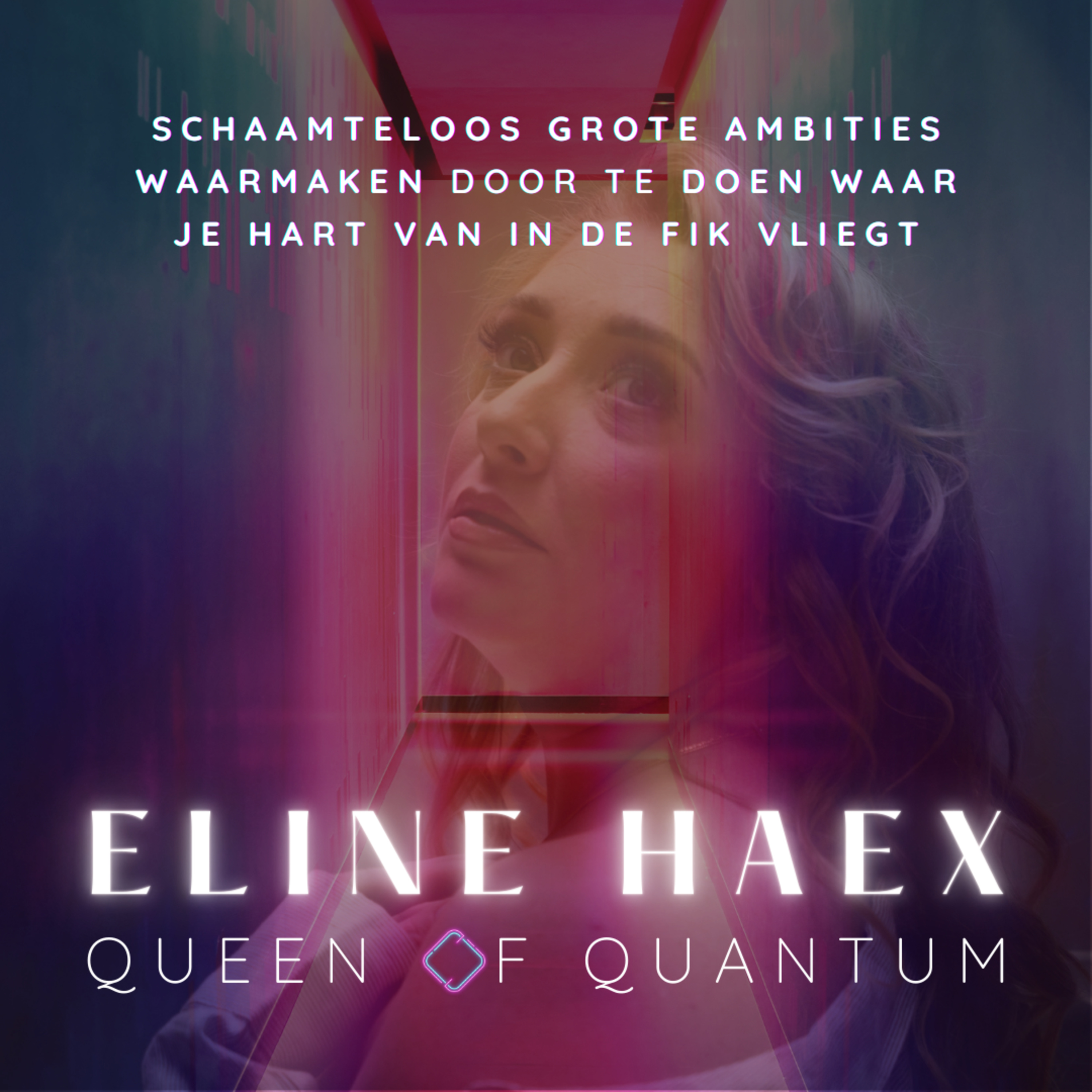 #217 Dat Je Inhoudelijk Goed Bent In Wat Je Doet, Maakt Je Nog Geen Ondernemer episode artwork