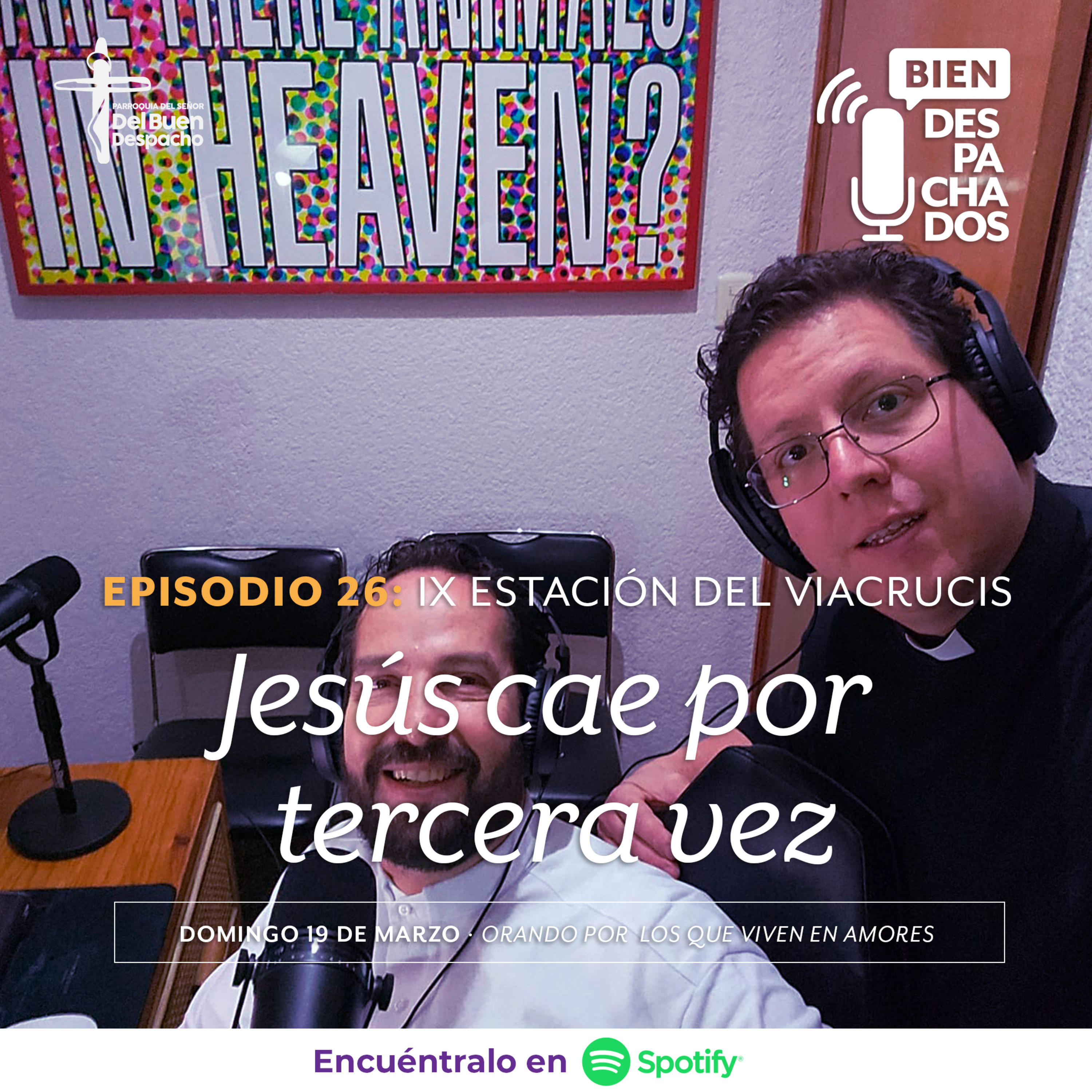 Bien despachados