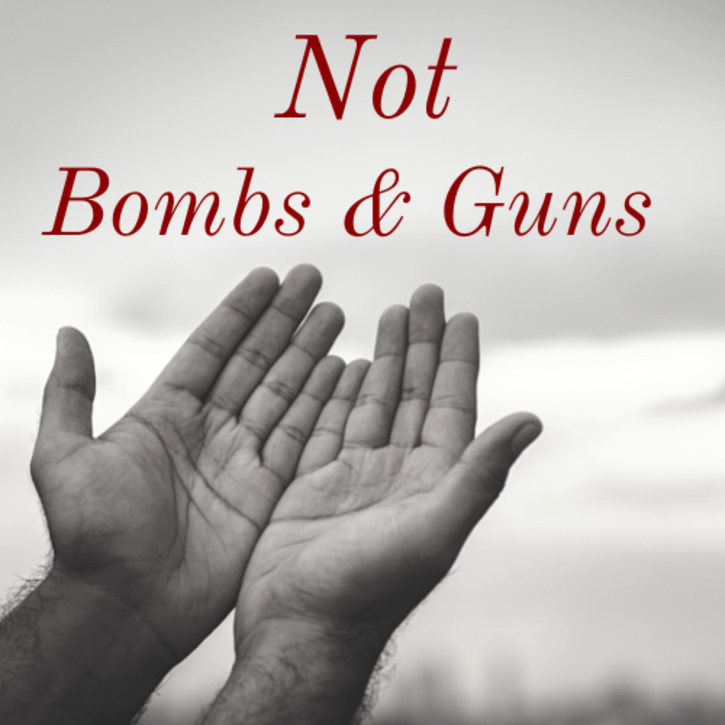 Not Bombs & Guns - Pastor Rob Jadrnicek & Rachel Holst