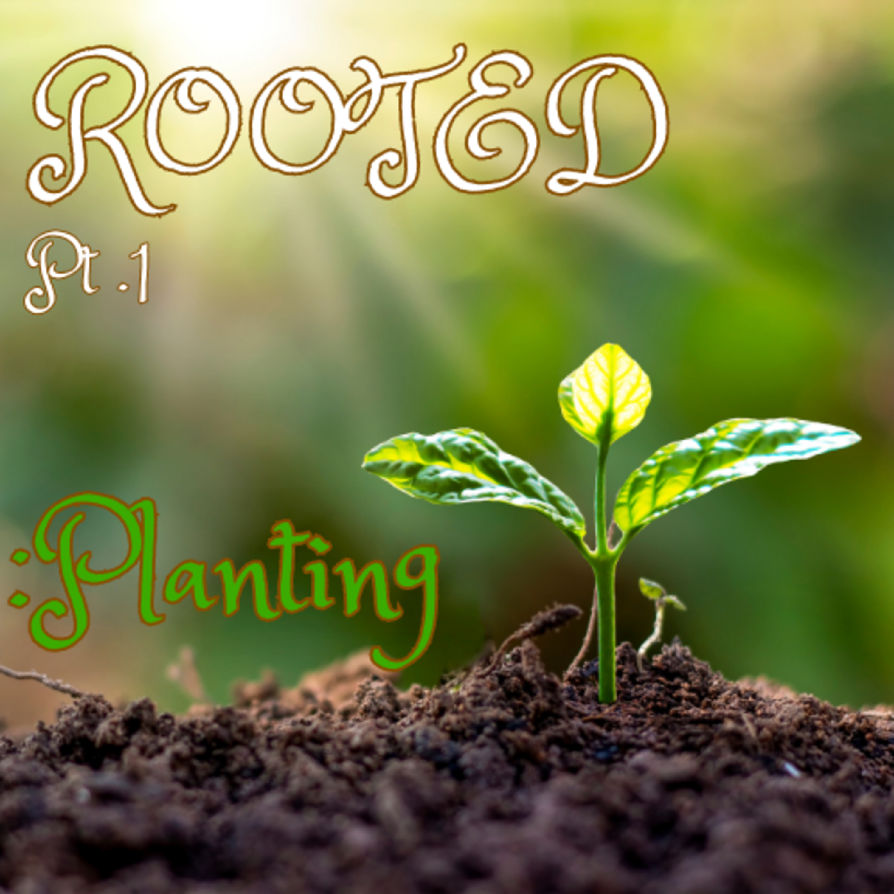 Rooted: Planting Pt.1 - Pastor Rob Jadrnicek episode artwork