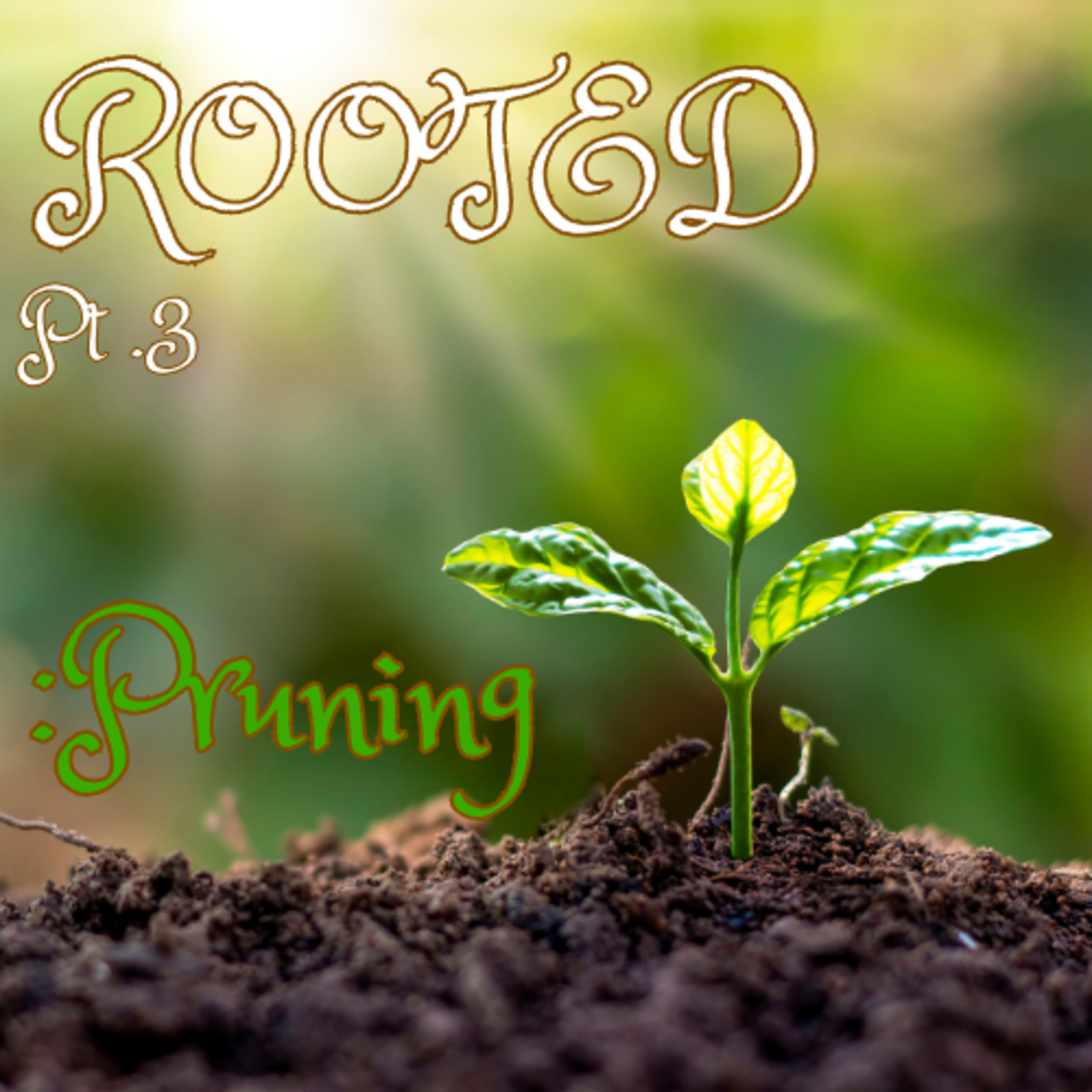 Rooted: Pruning Pt.3 - Pastor Rob Jadrnicek