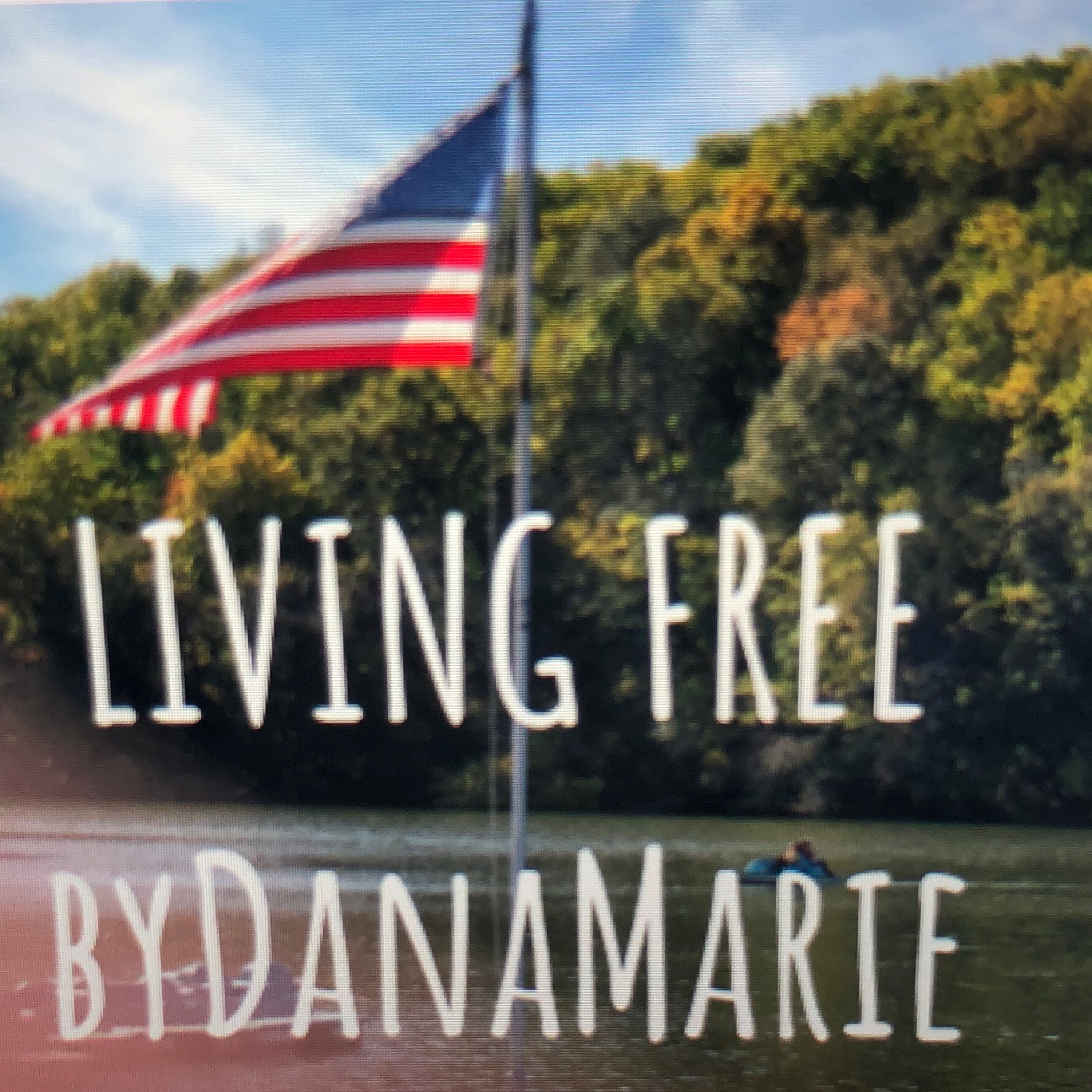 Life, Liberty and The Pursuit of Happiness 2 episode artwork