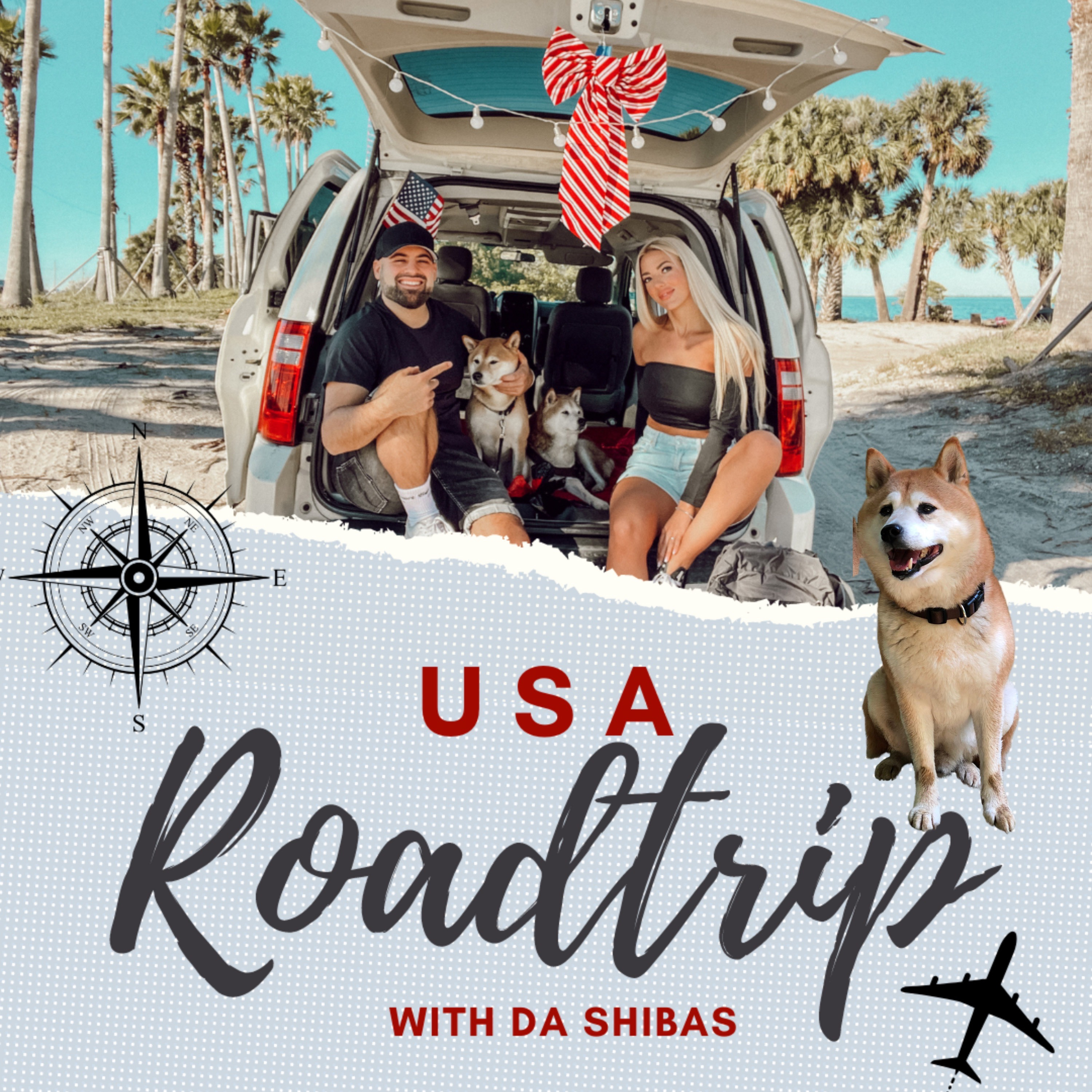 USA VAN ROADTRIP WITH SHIBAS