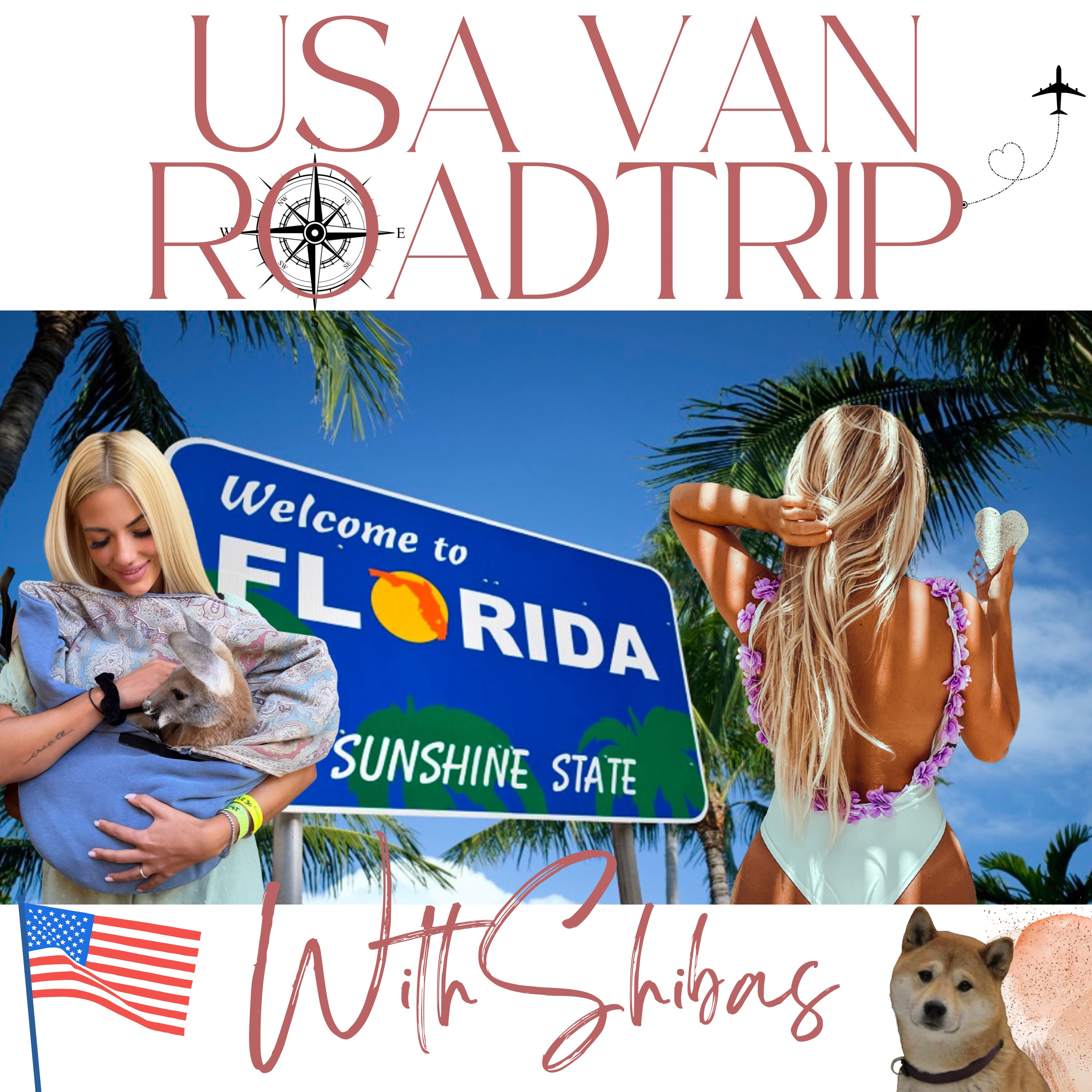 USA VAN ROADTRIP WITH SHIBAS