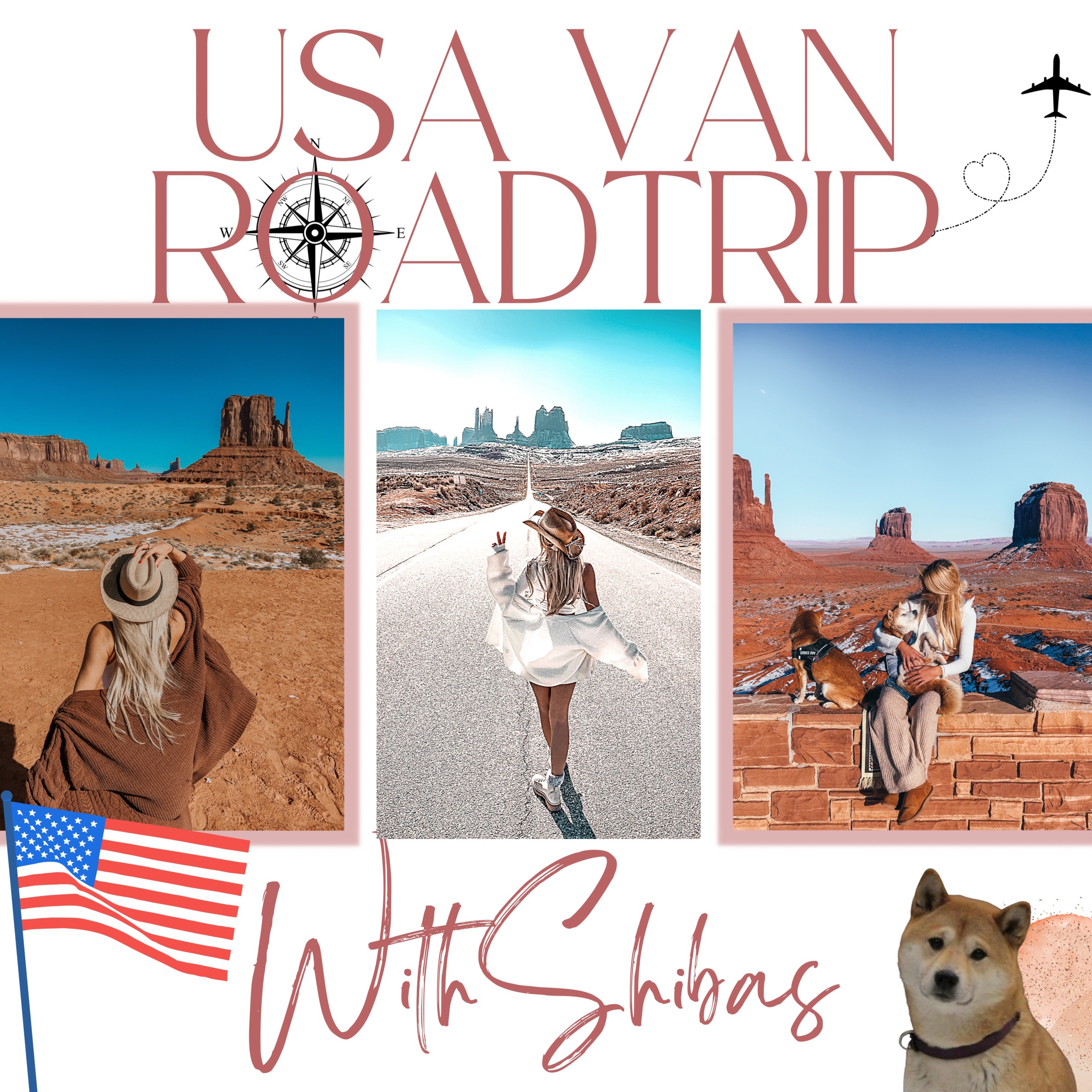 USA VAN ROADTRIP WITH SHIBAS