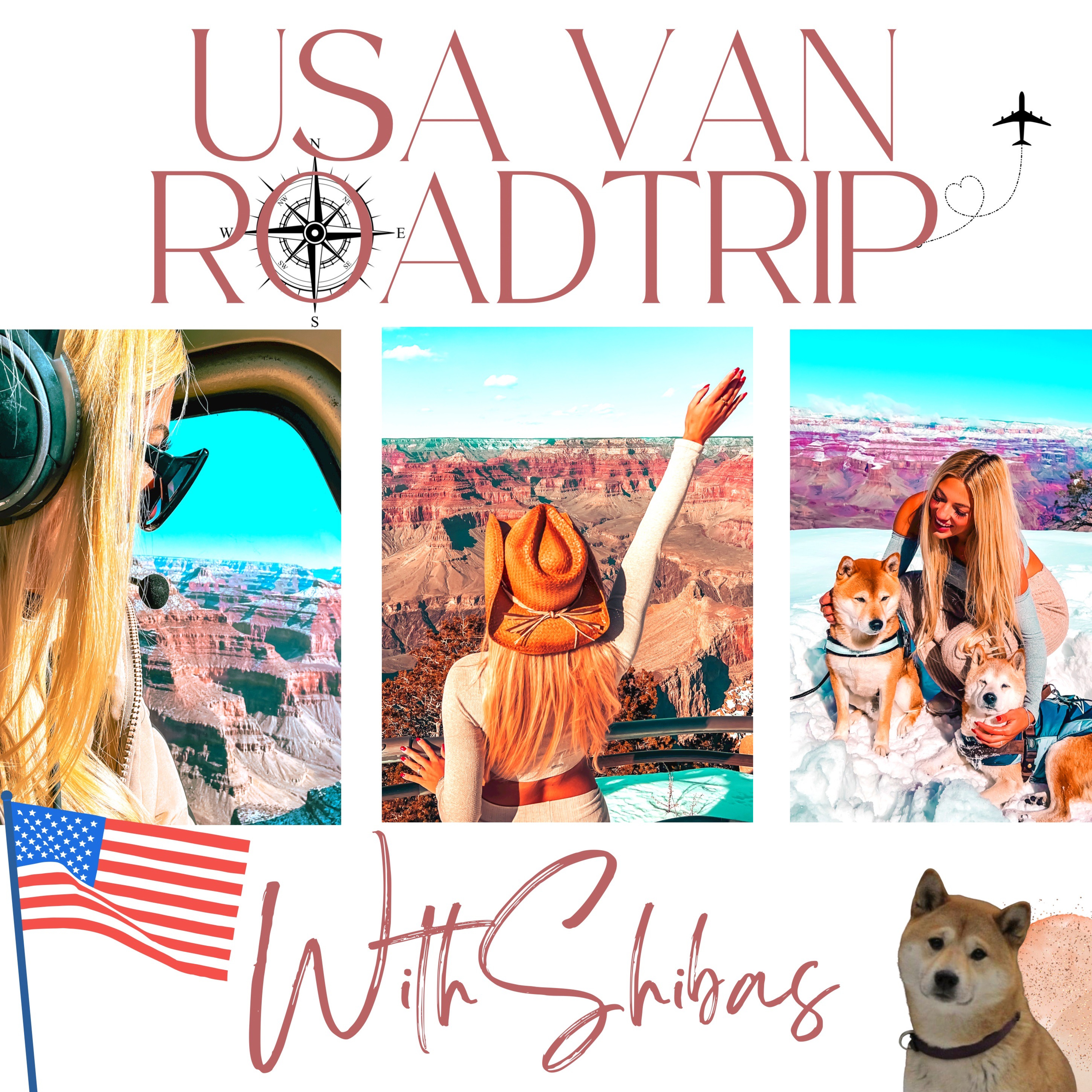 USA VAN ROADTRIP WITH SHIBAS