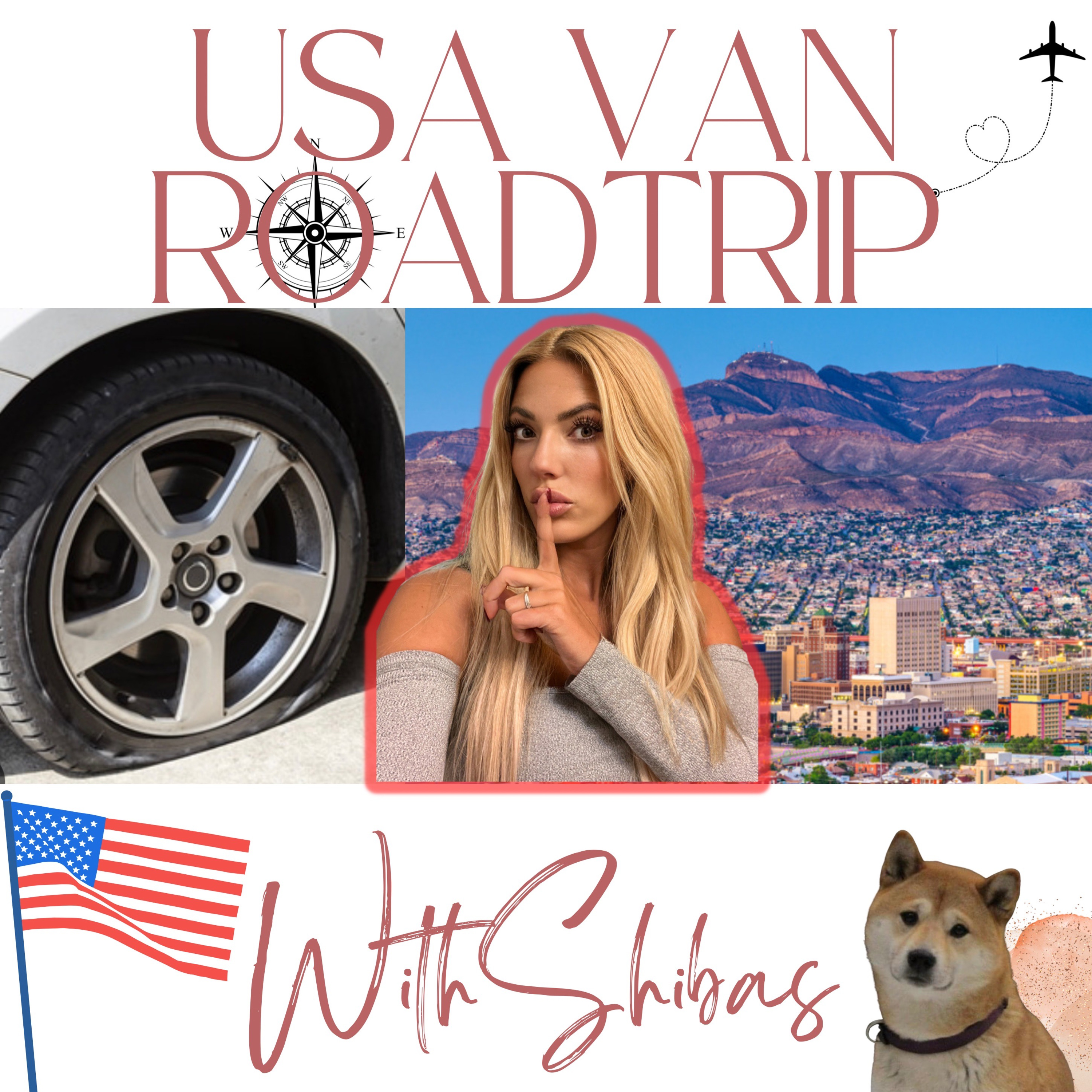 USA VAN ROADTRIP WITH SHIBAS