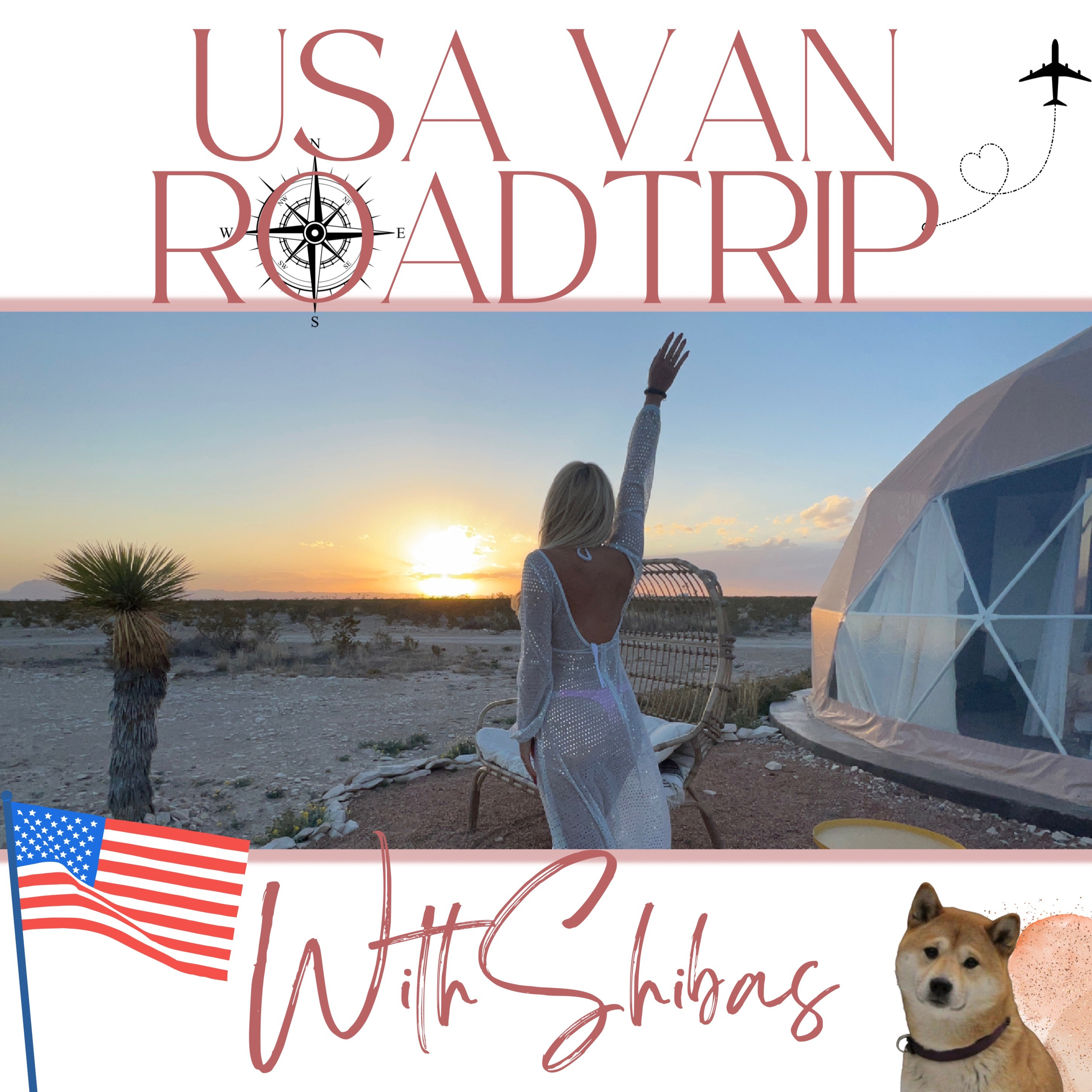 USA VAN ROADTRIP WITH SHIBAS