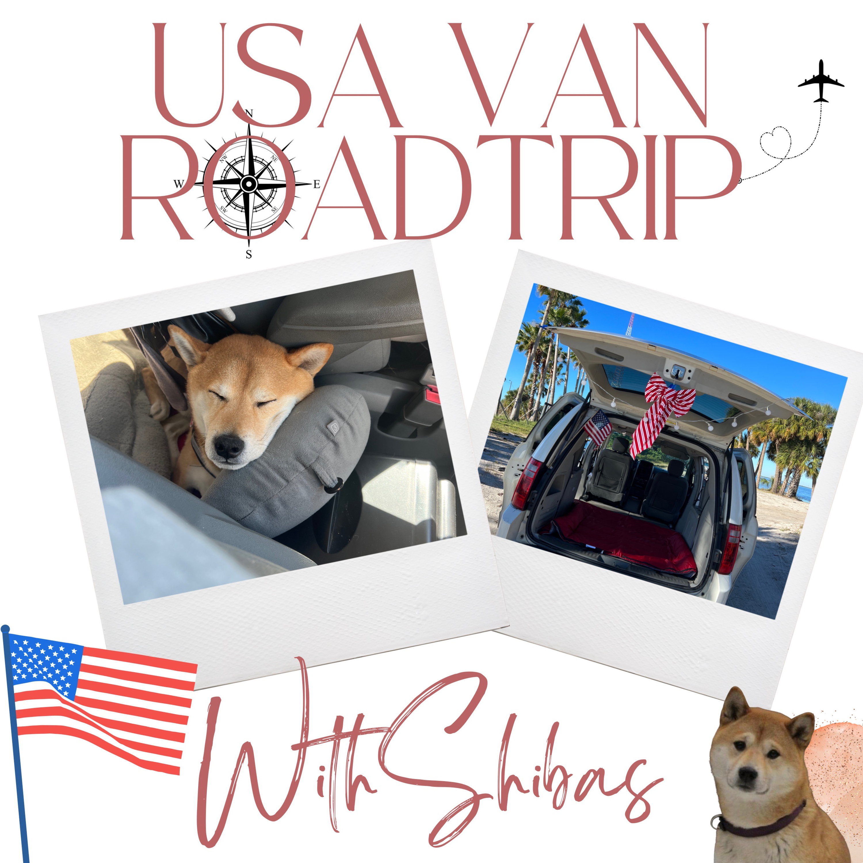 USA VAN ROADTRIP WITH SHIBAS