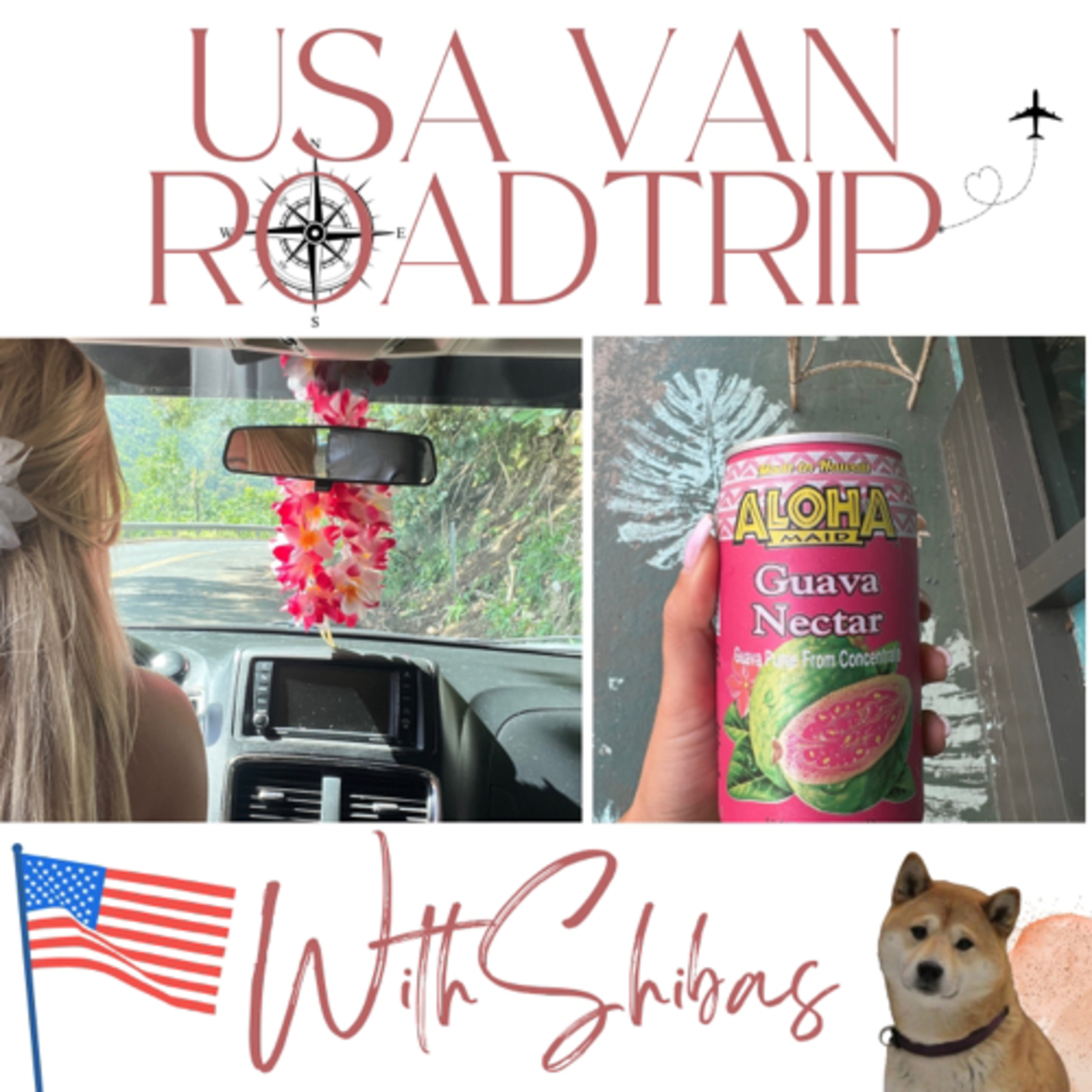 USA VAN ROADTRIP WITH SHIBAS