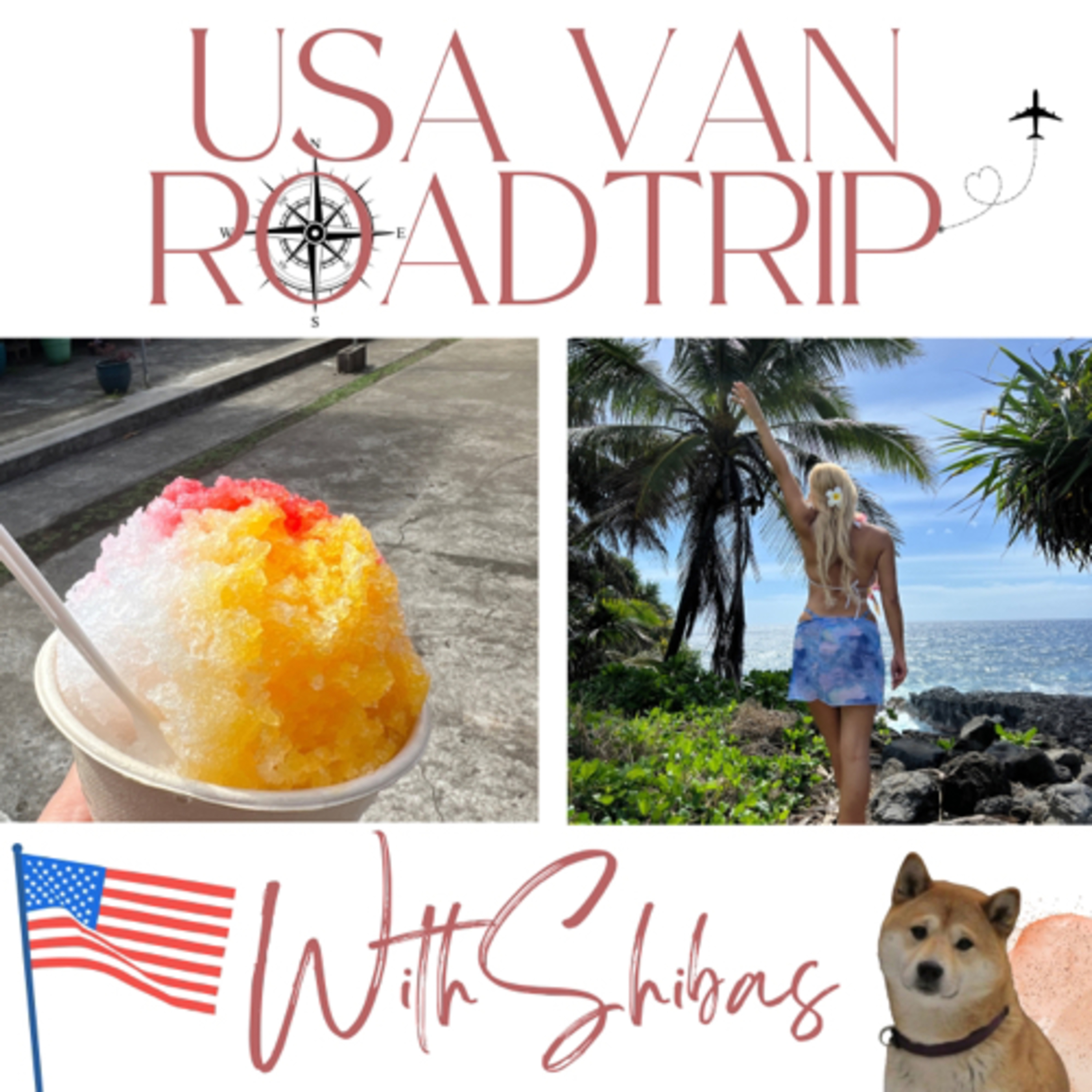 USA VAN ROADTRIP WITH SHIBAS