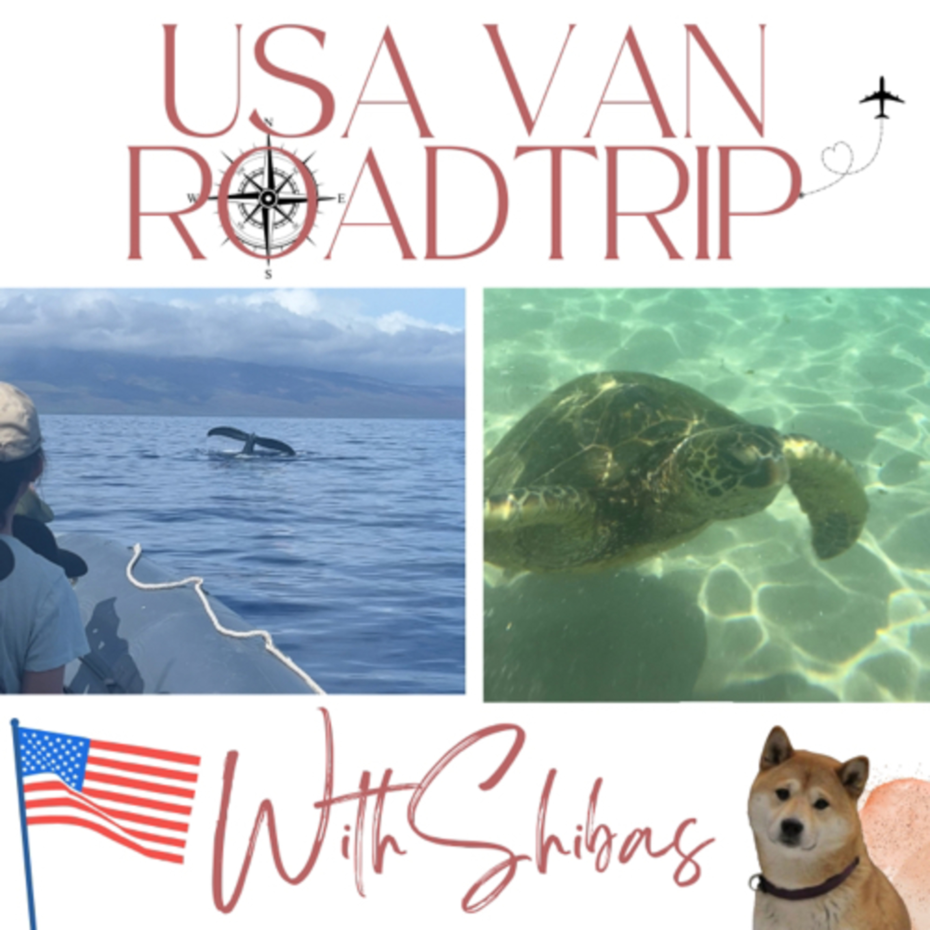 USA VAN ROADTRIP WITH SHIBAS
