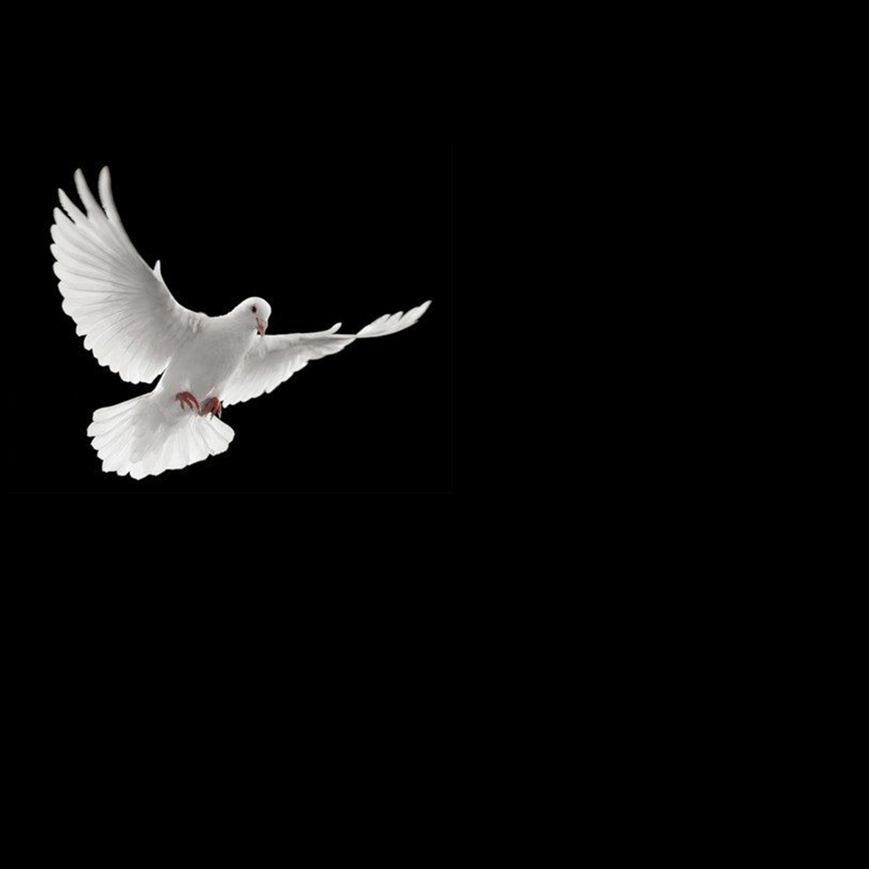 Principles of Hope: Principle #9 episode artwork