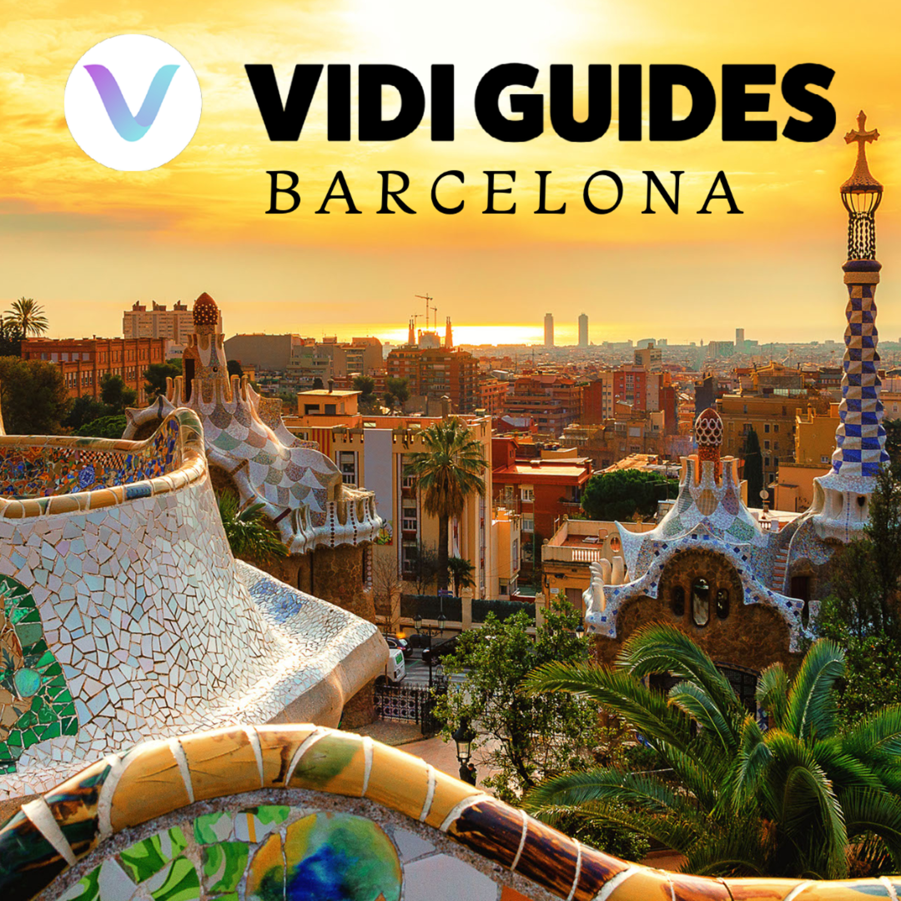 Vidi Guides