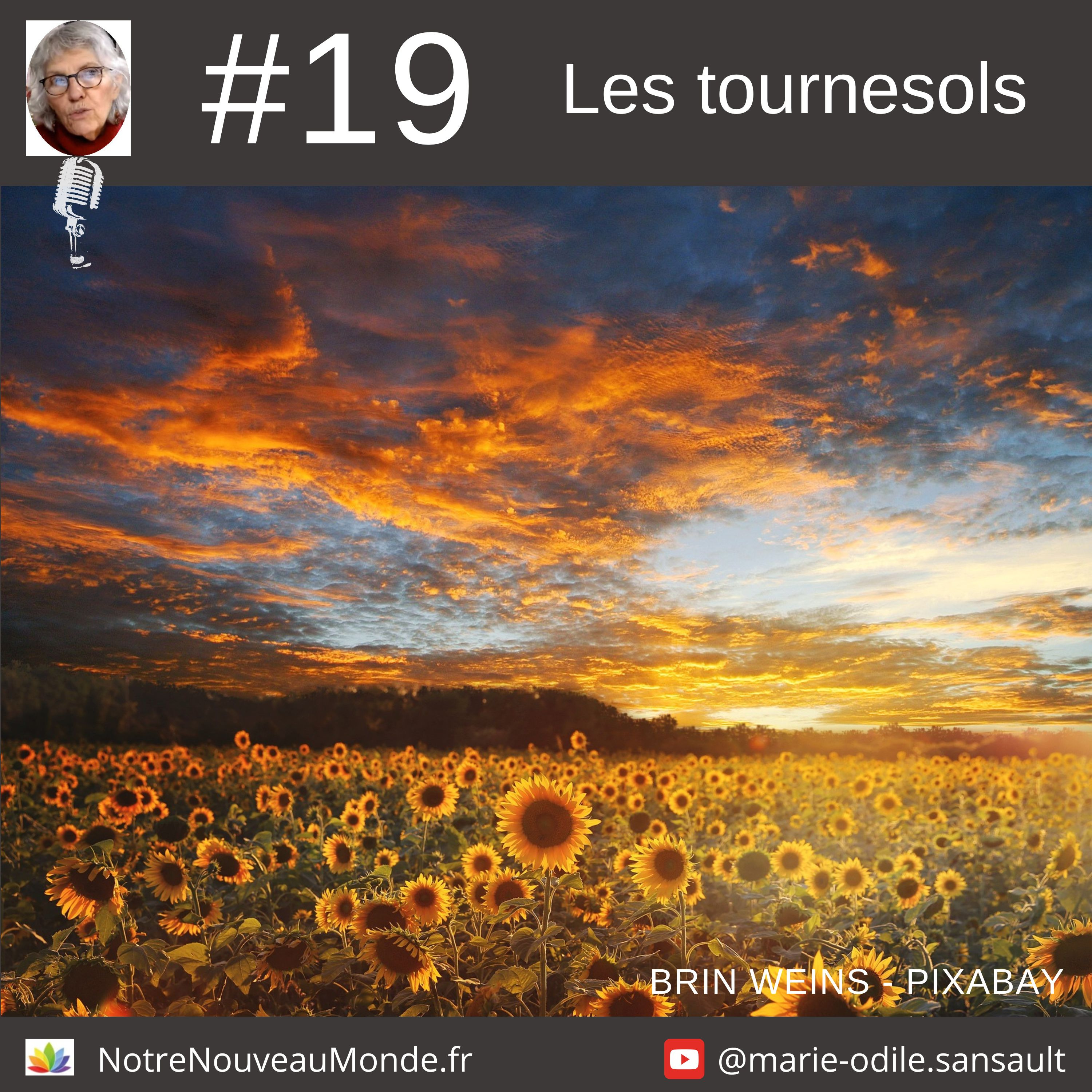 Notre Nouveau Monde vous partage ici la saison 1 des Guidances de Marie-Odile Sansault