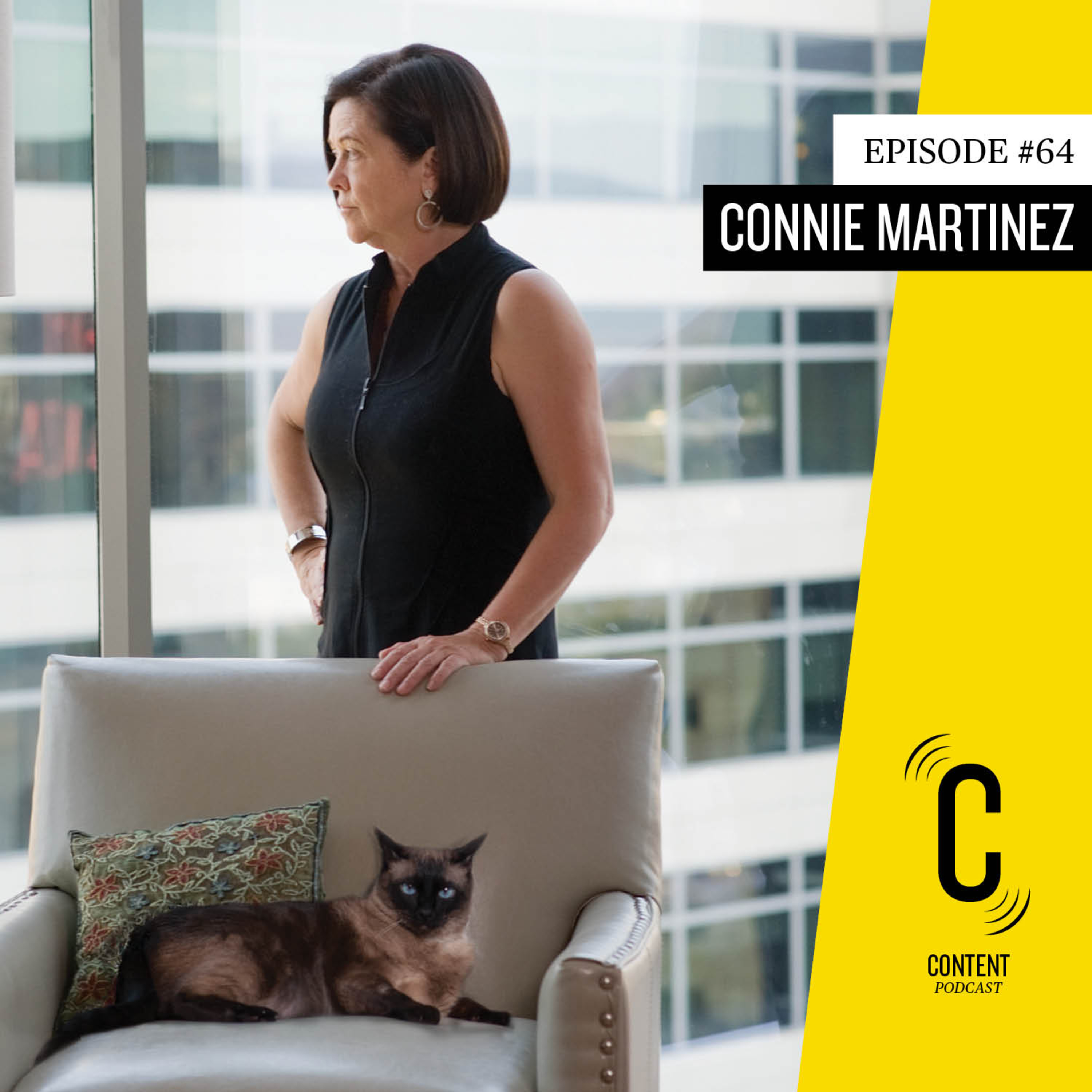 #64- Connie Martinez - CEO SVCreates on "The Business of Arts and Culture" episode artwork